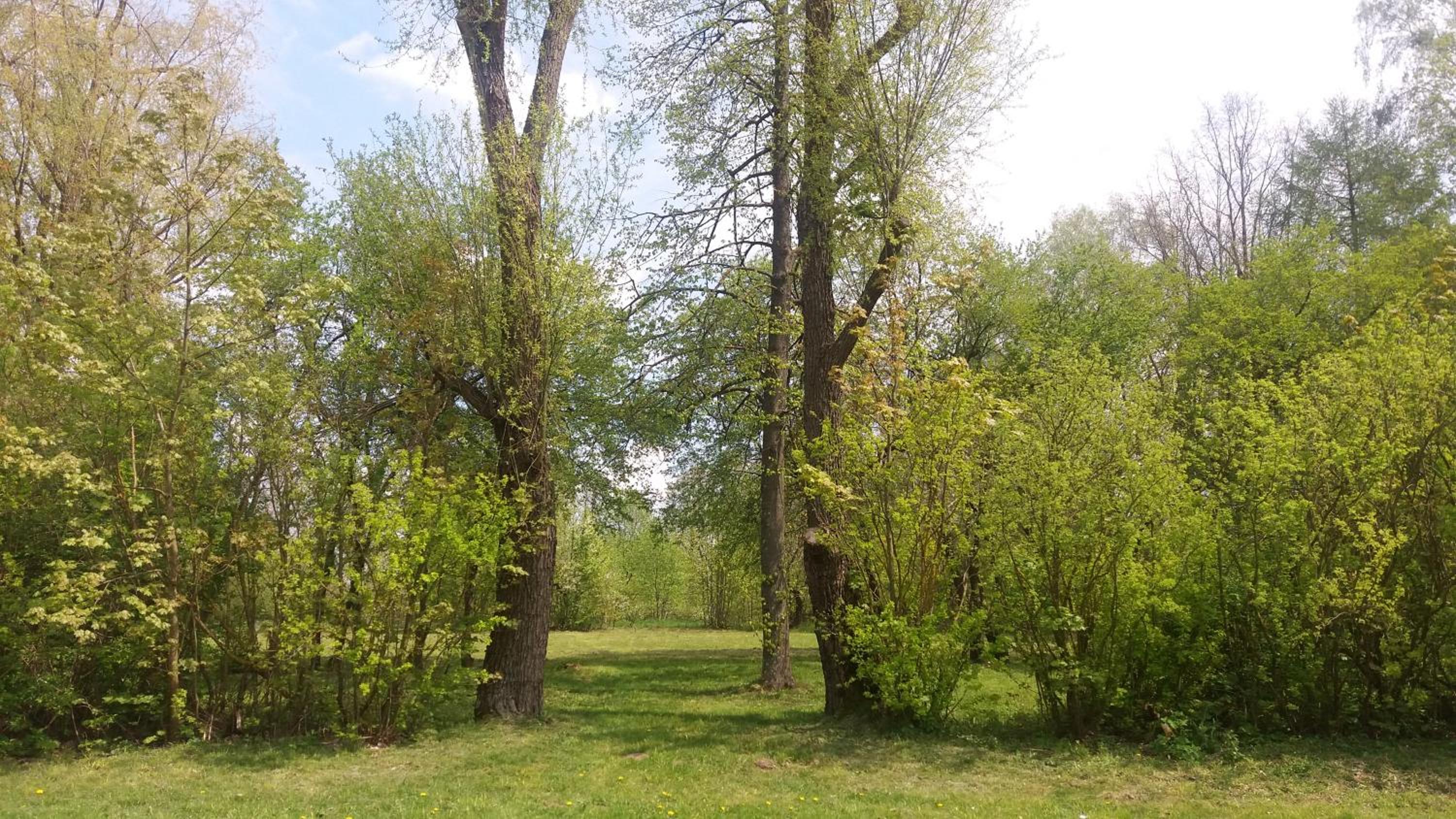 Photo 28