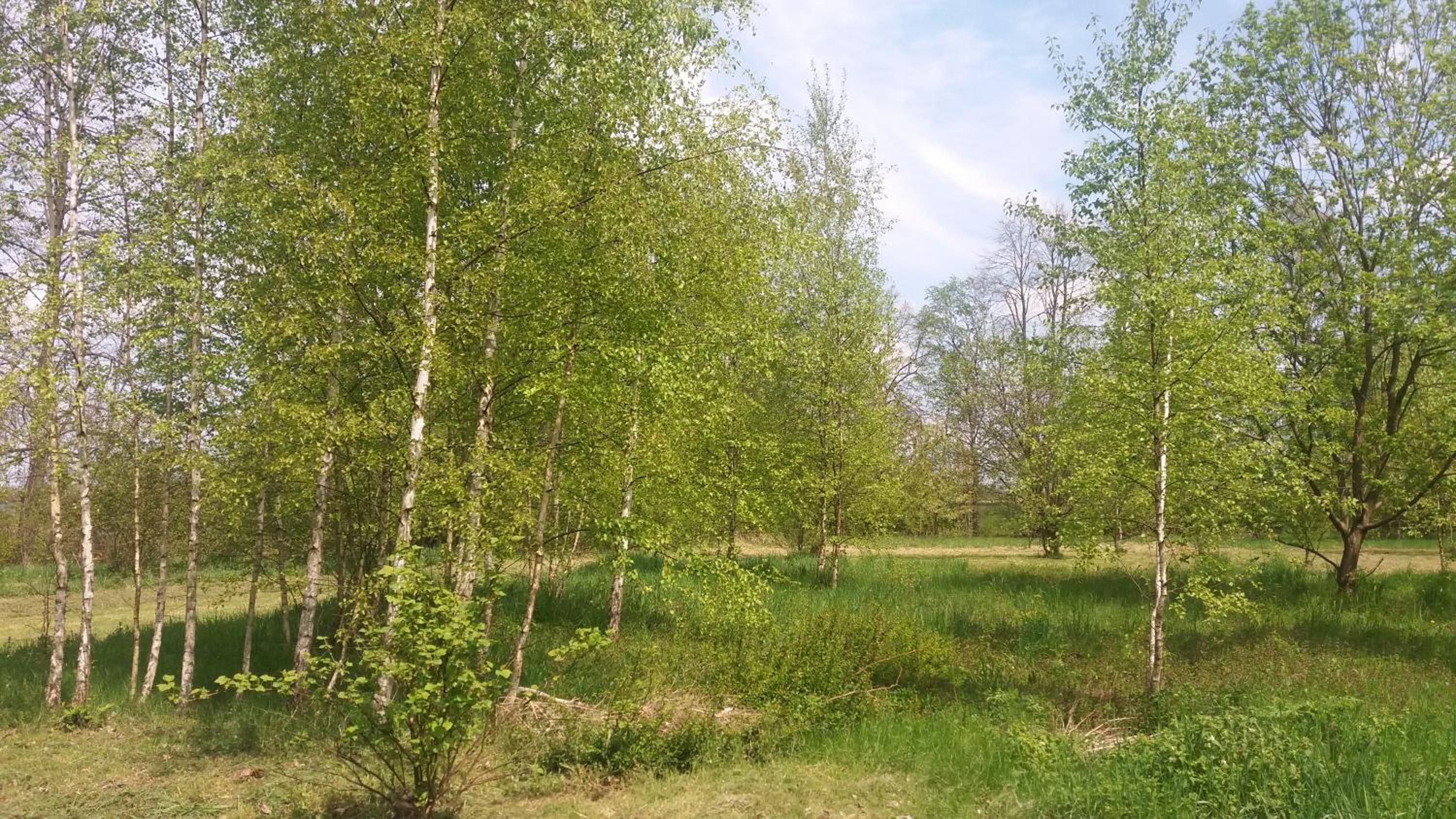 Photo 29