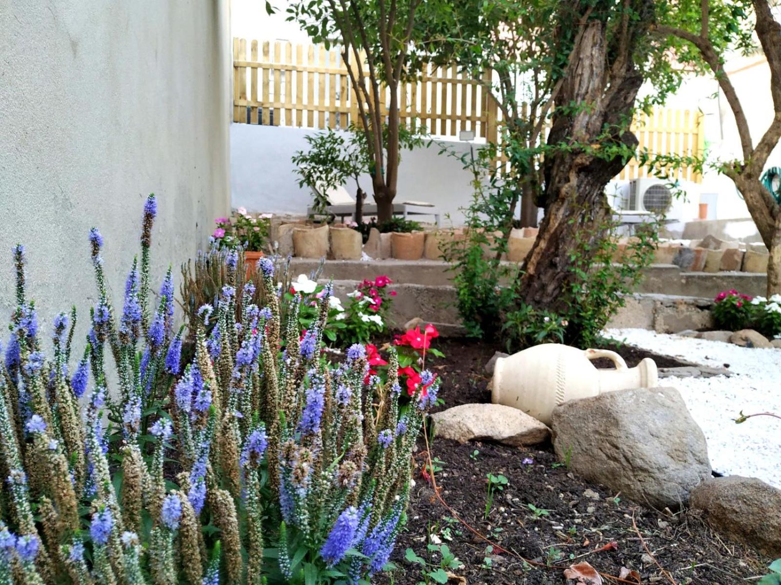Photo 21