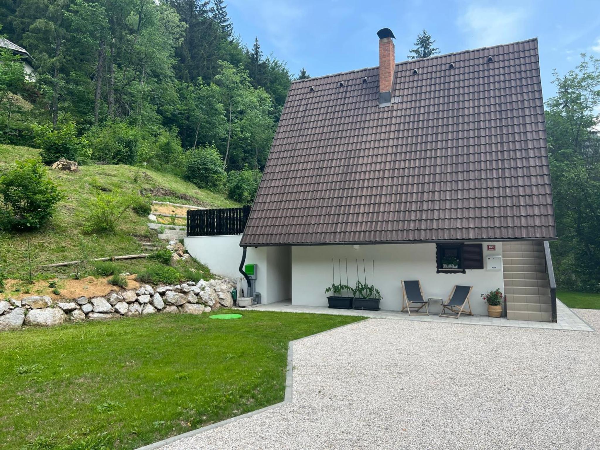 Our Forest House view 2