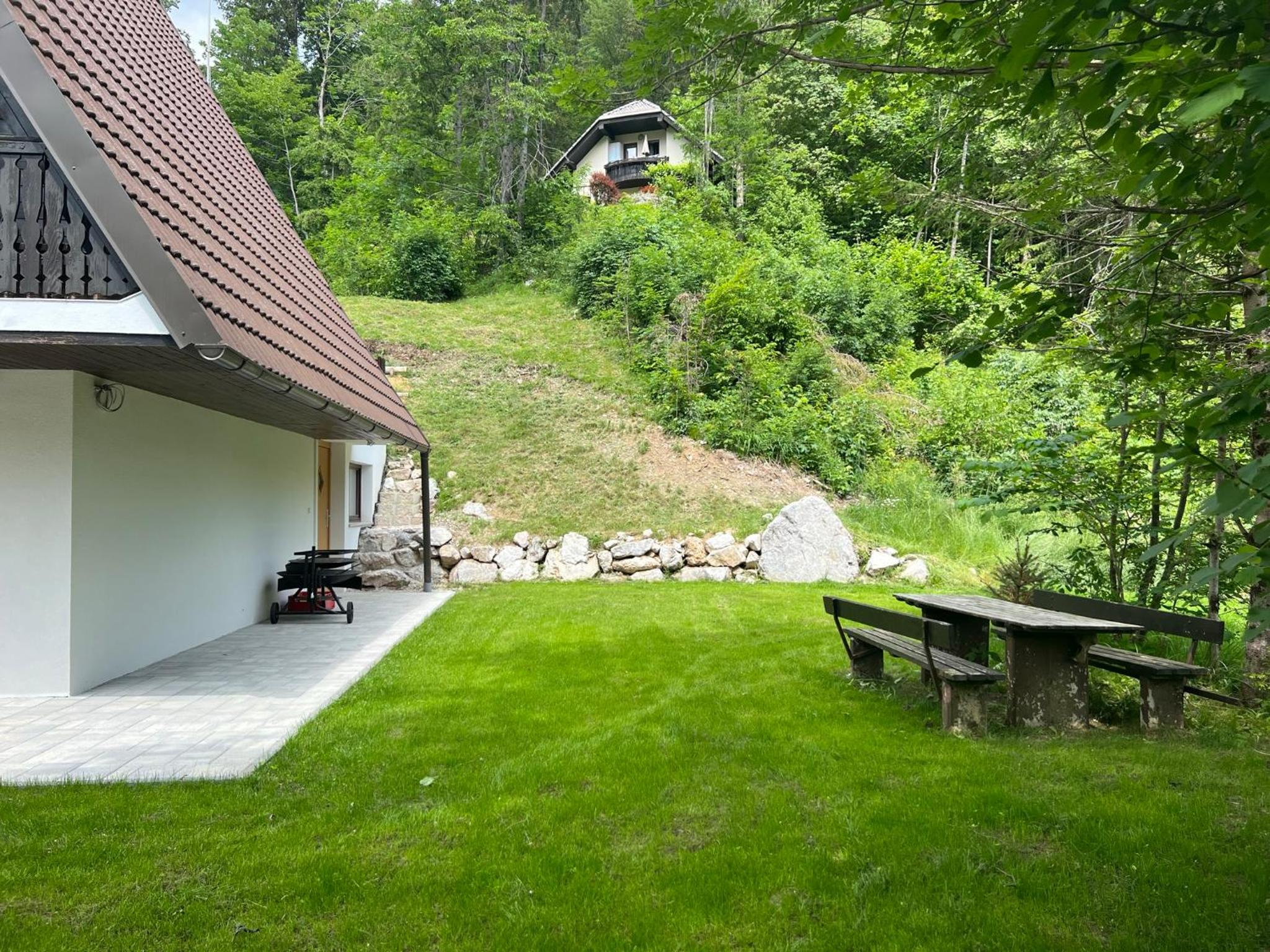 Our Forest House view 5