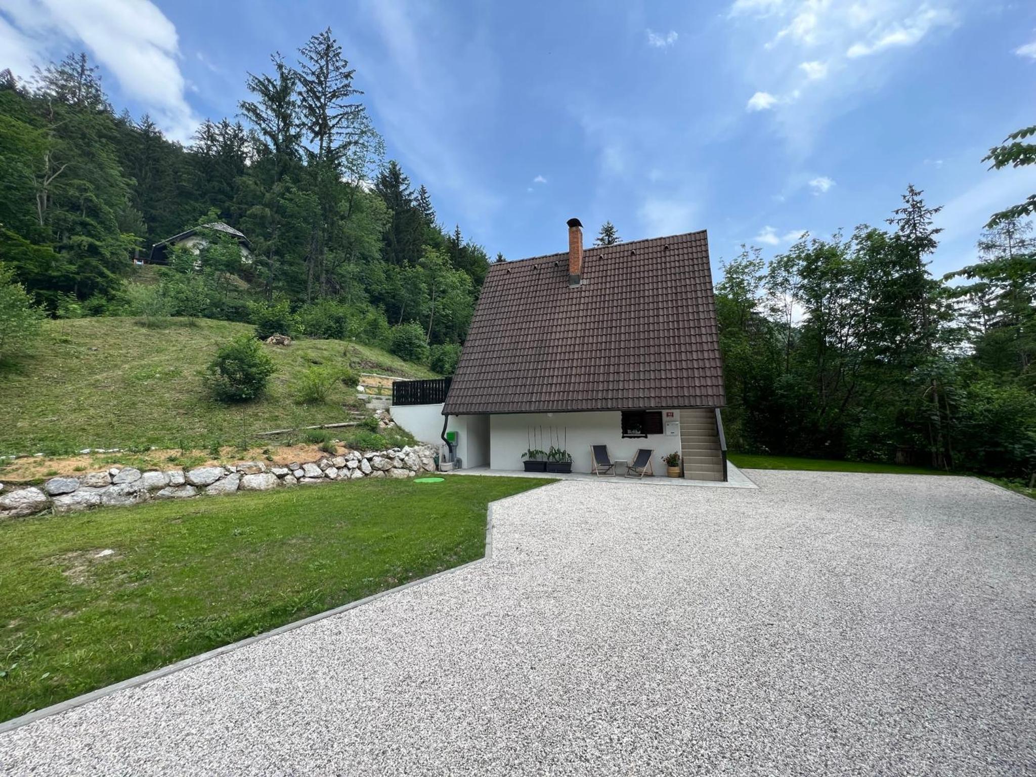 Our Forest House view 3