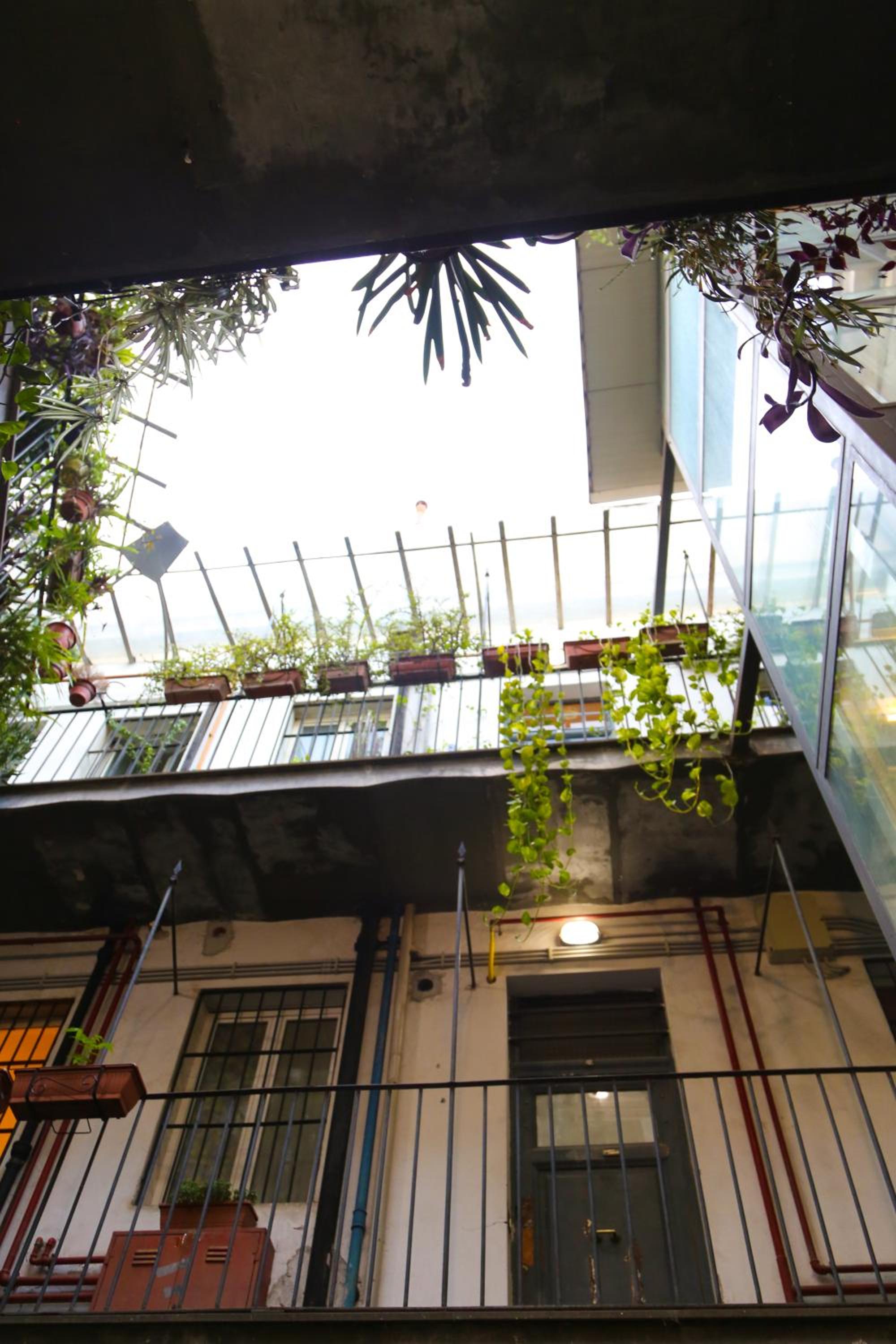 Rita Apartment in Trastevere