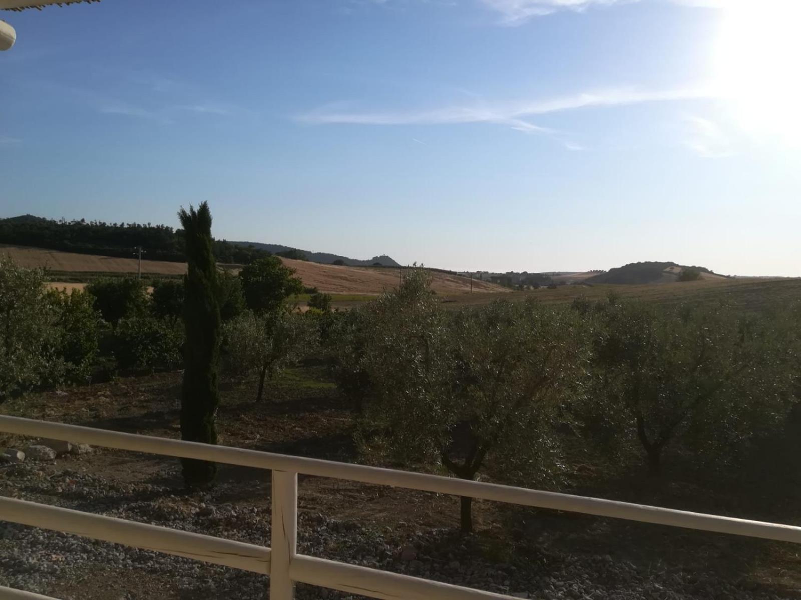 Agriturismo Il Poggio Rosso di Maremma view 2