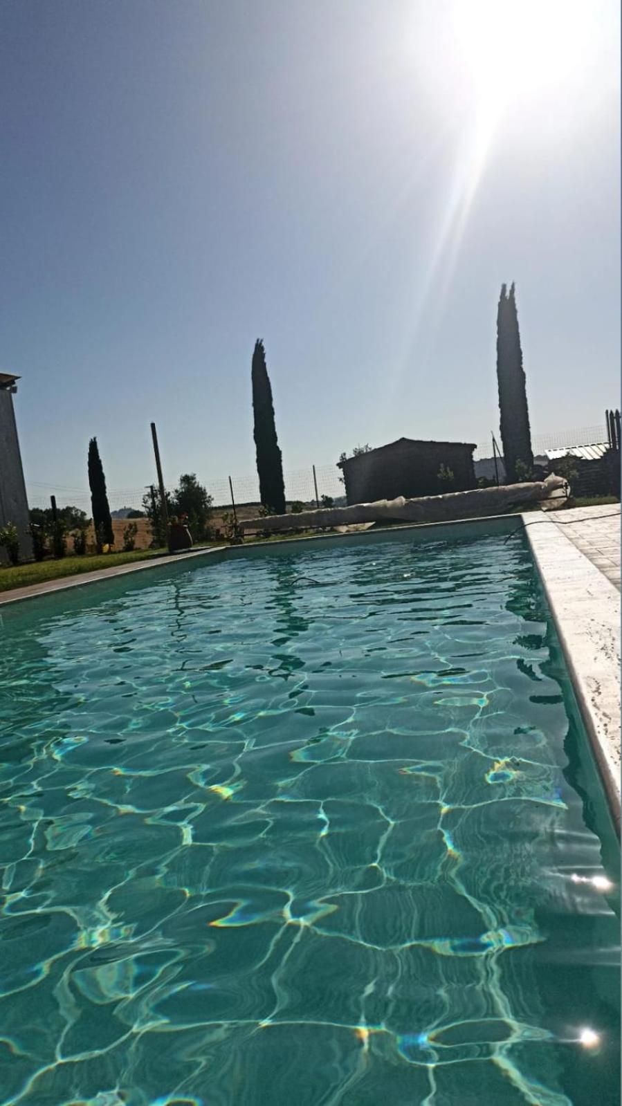 Agriturismo Il Poggio Rosso di Maremma view 3