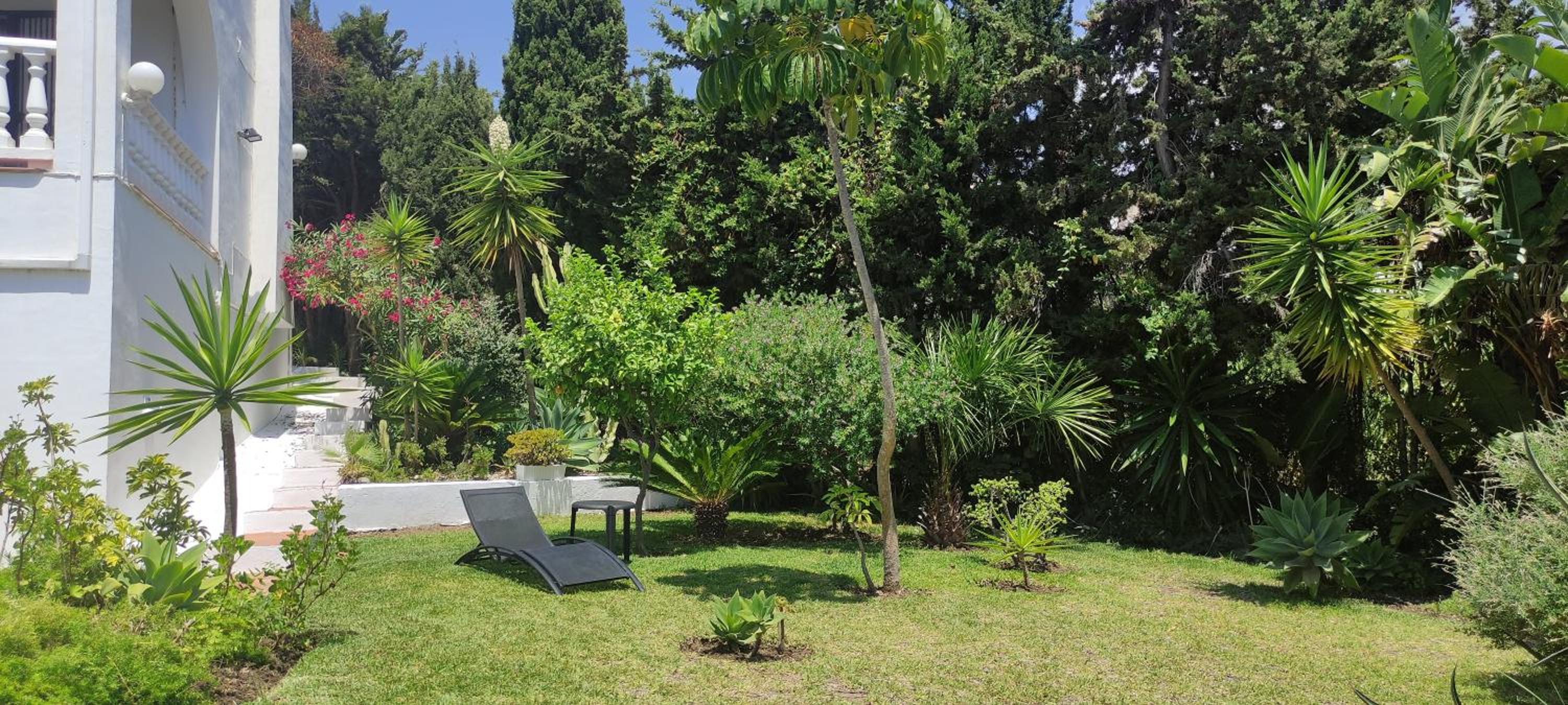 Photo 46