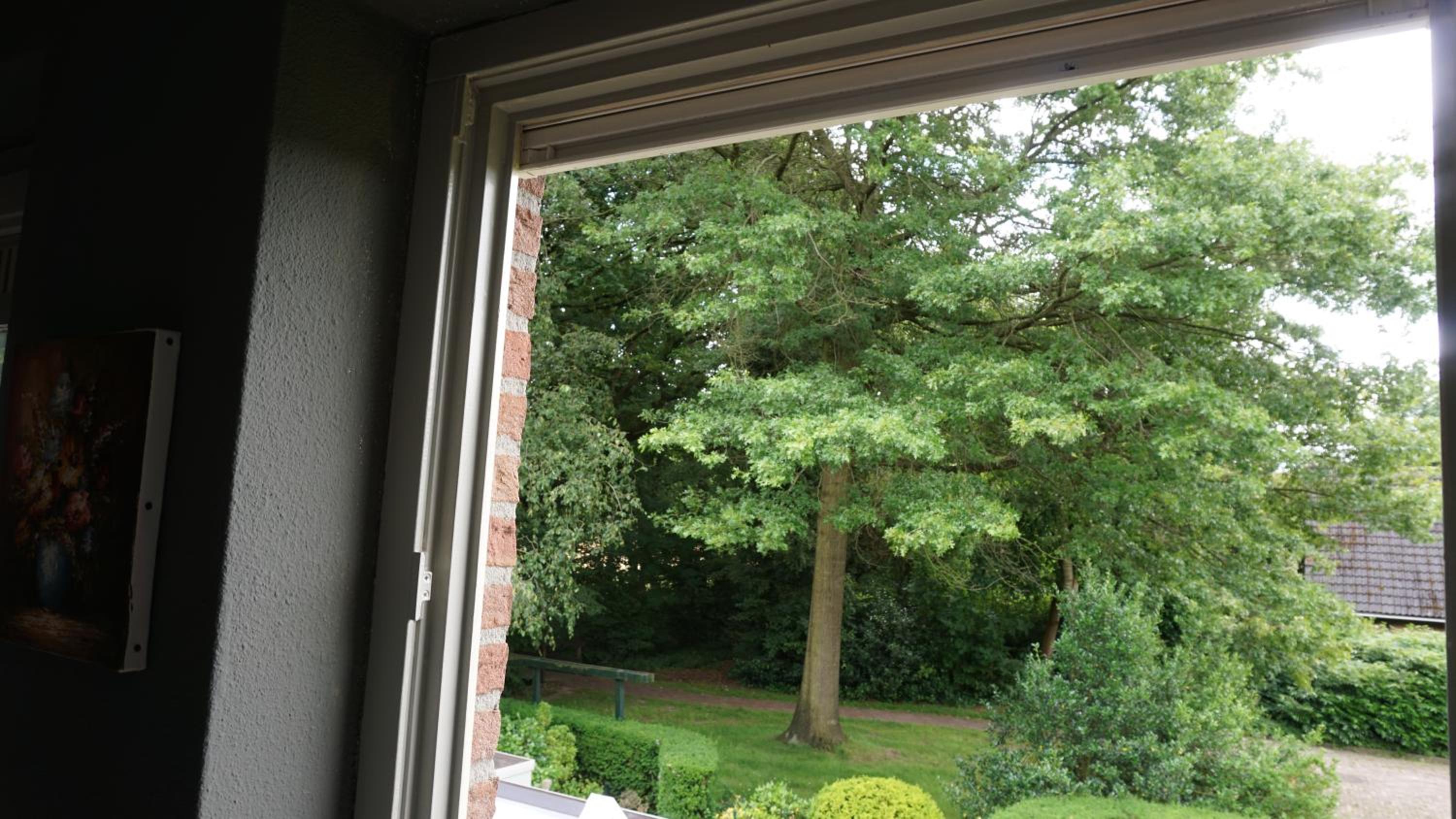 B&B aan het bos view 5