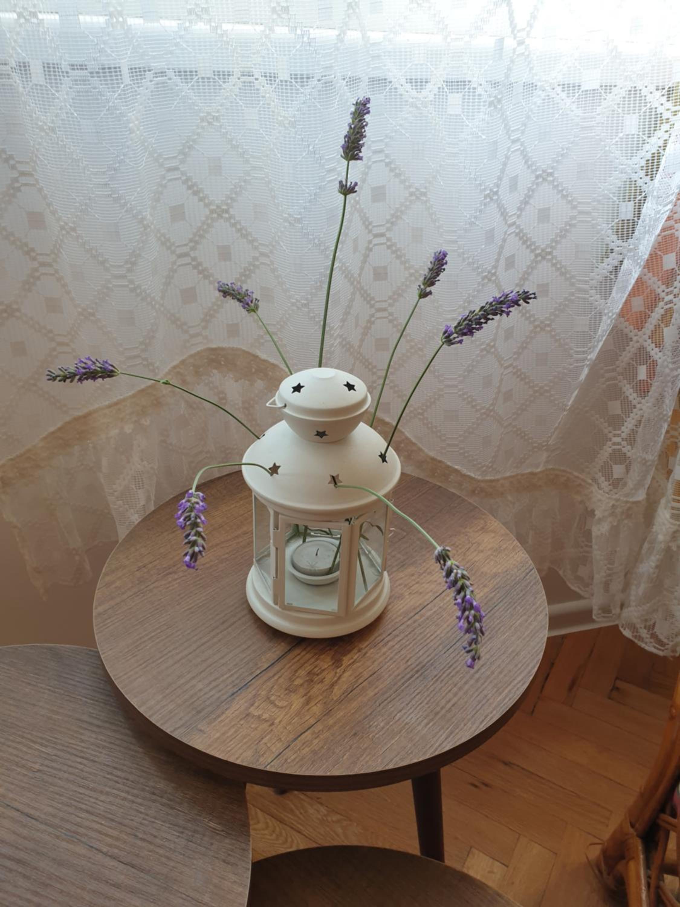 Апартамент BOHO CHIC Free parking