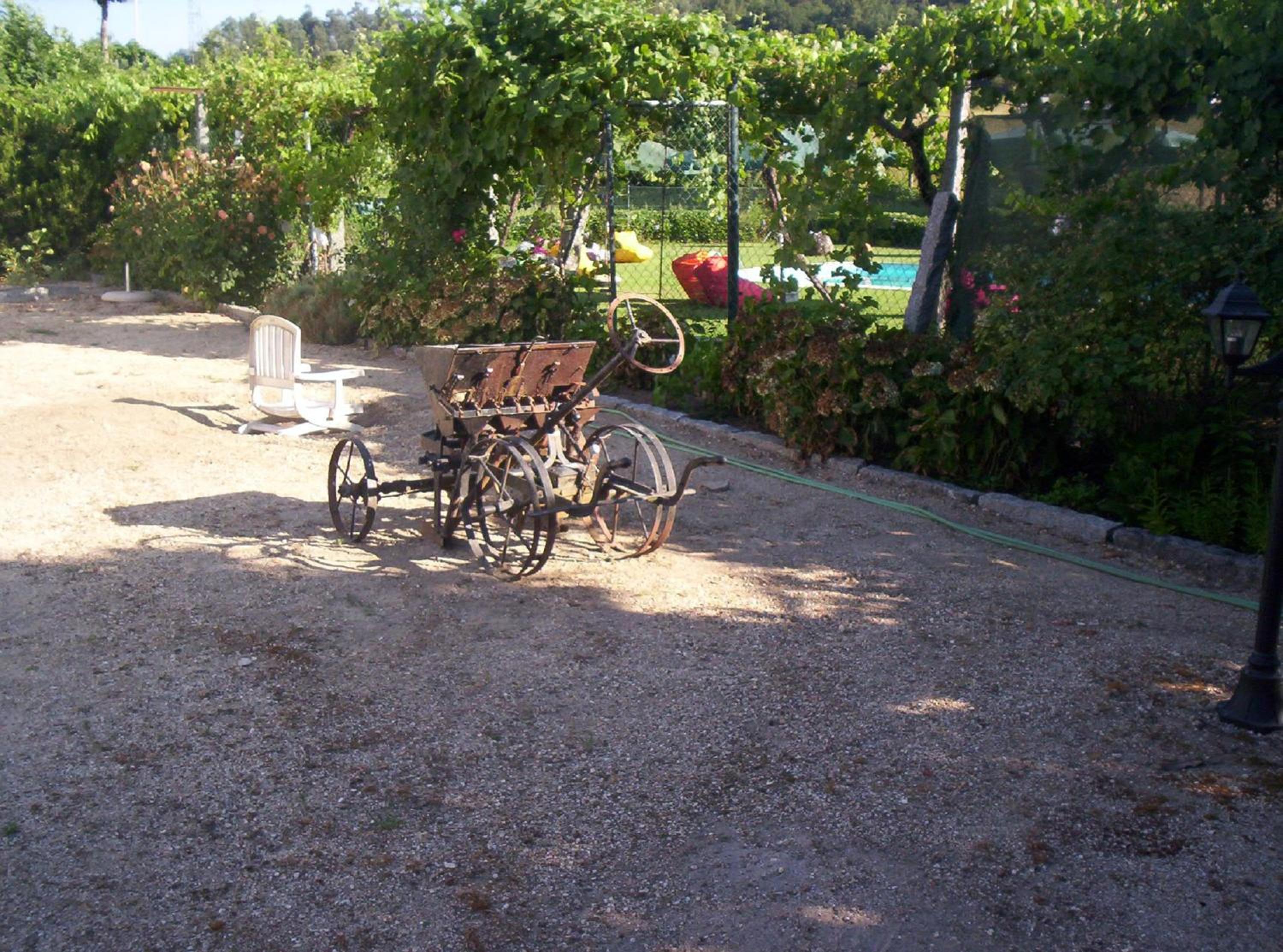 Photo 42