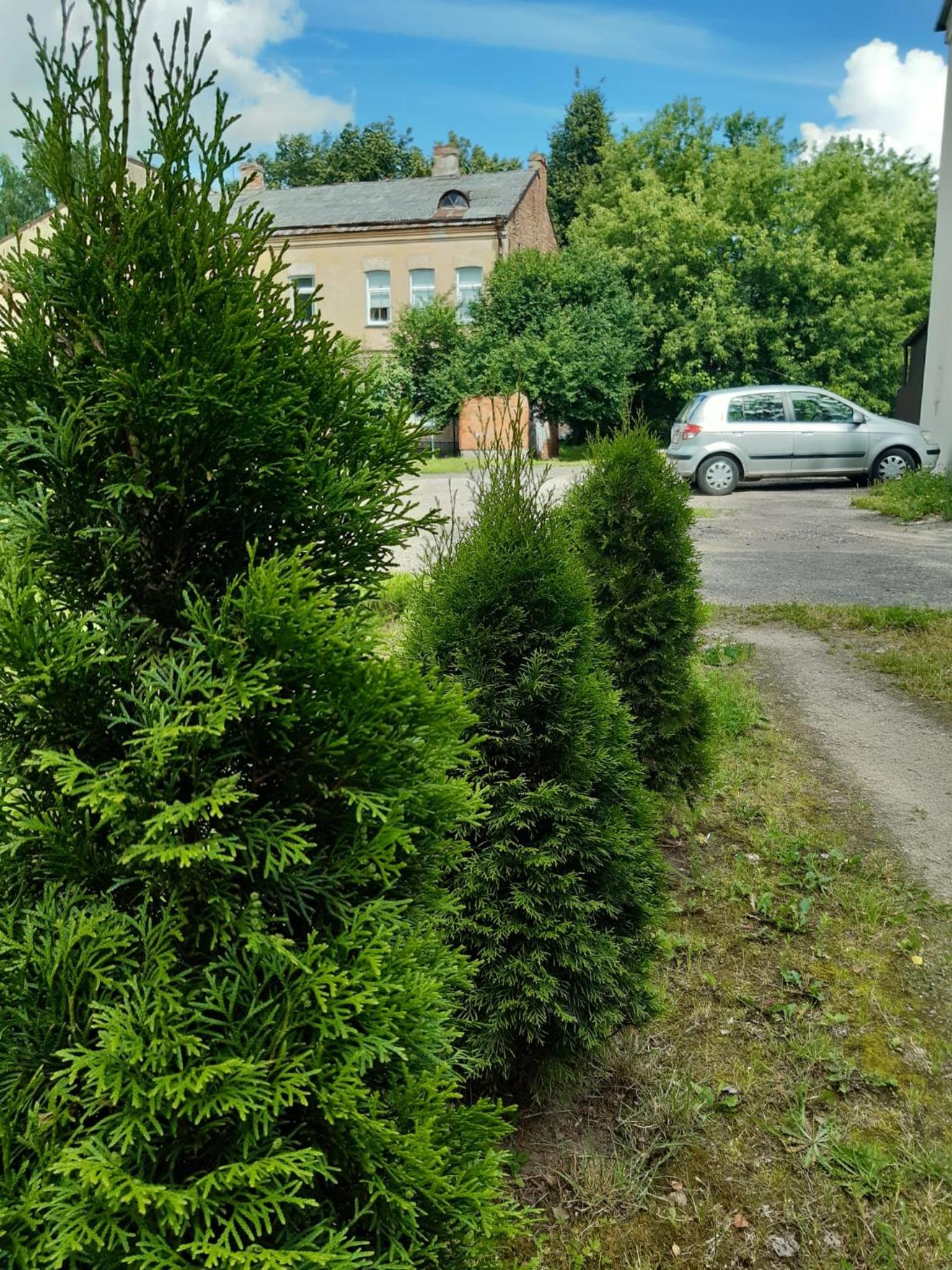 Photo 35
