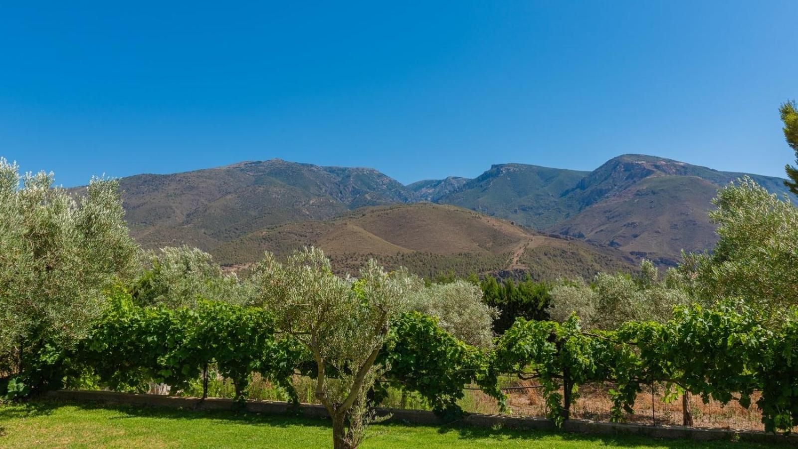 Casa Los Olivos Orgiva by Ruralidays view 5
