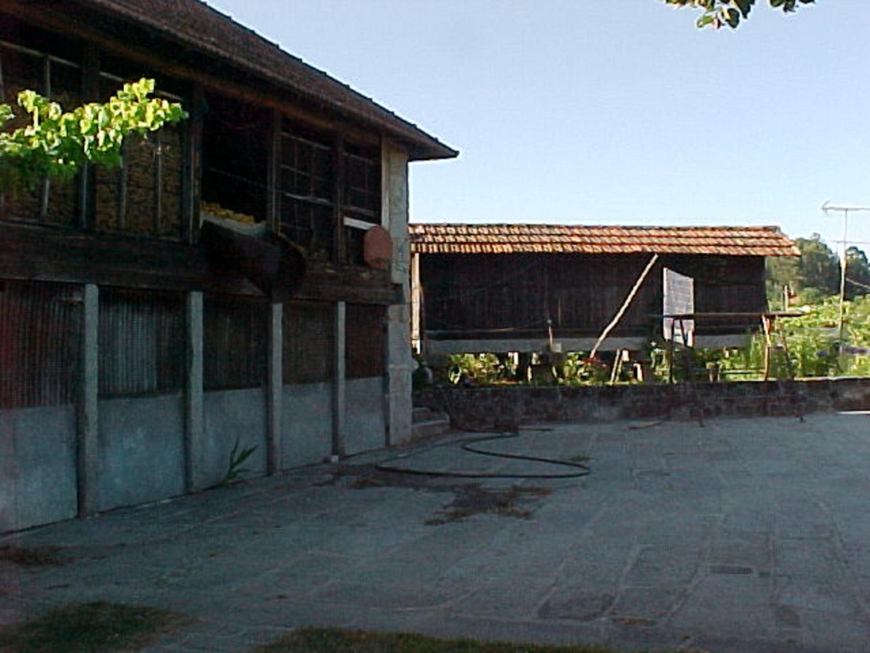 Photo 32