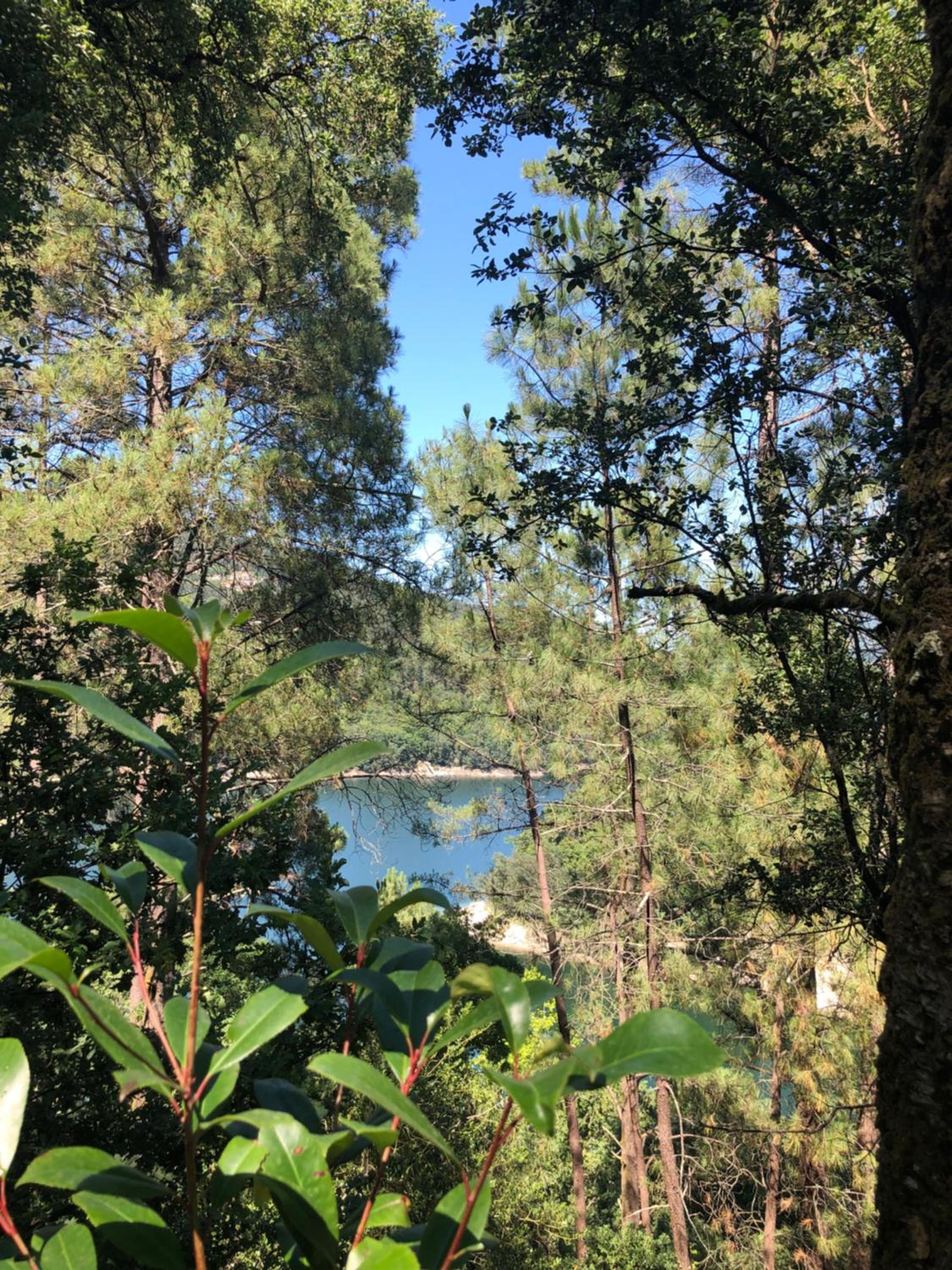 Sobreiro Valley - Casa Firmino