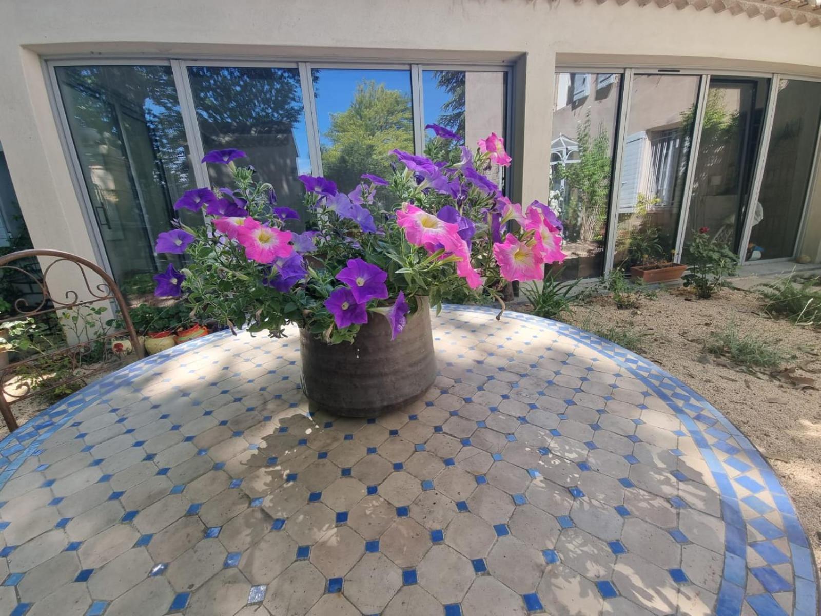 garden
