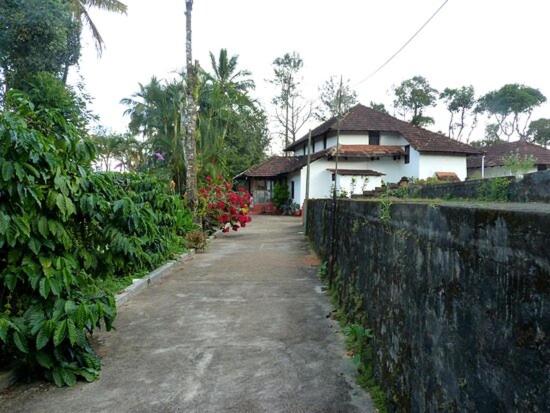 Photo 45