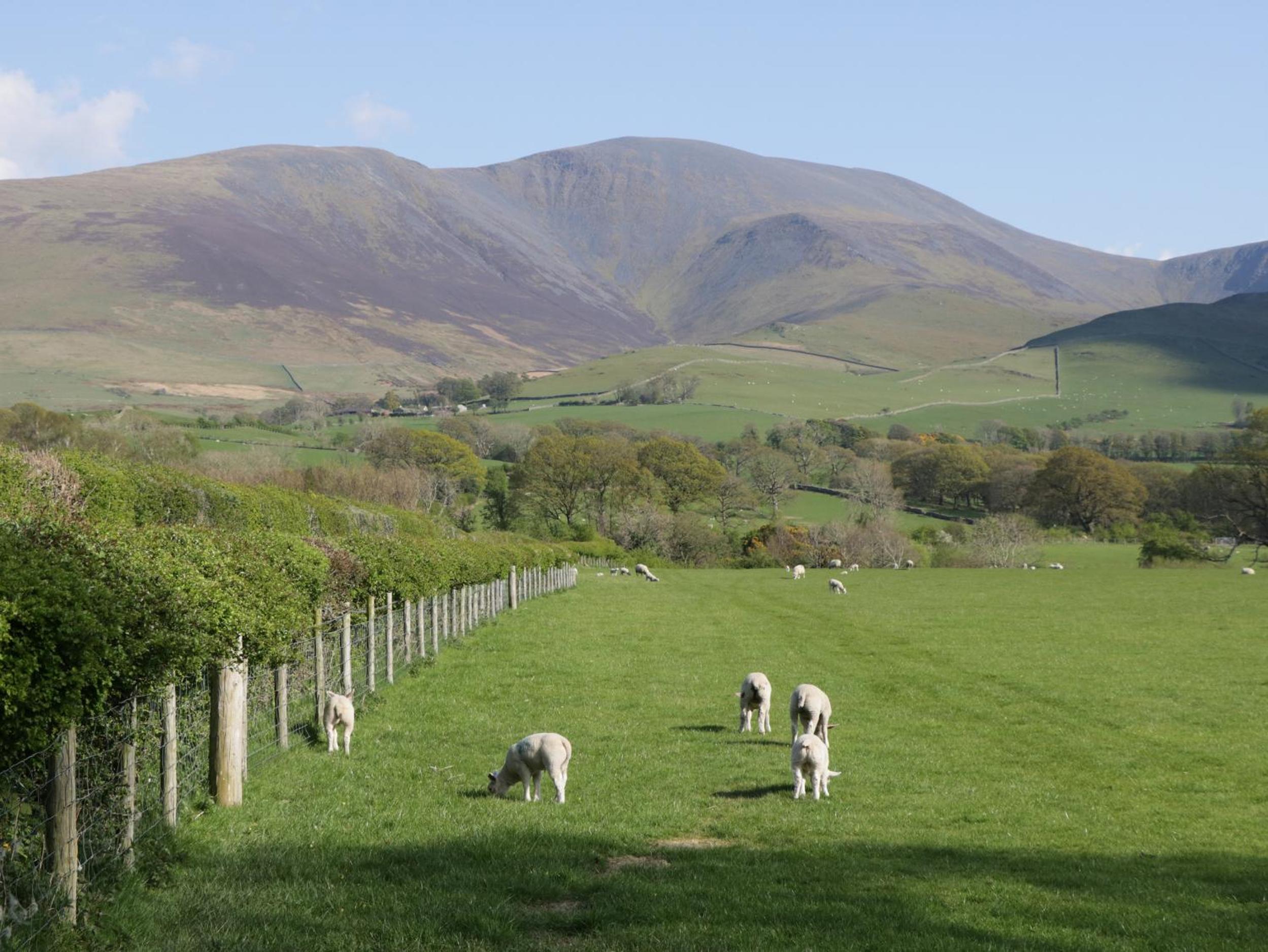 Fellside Cottage