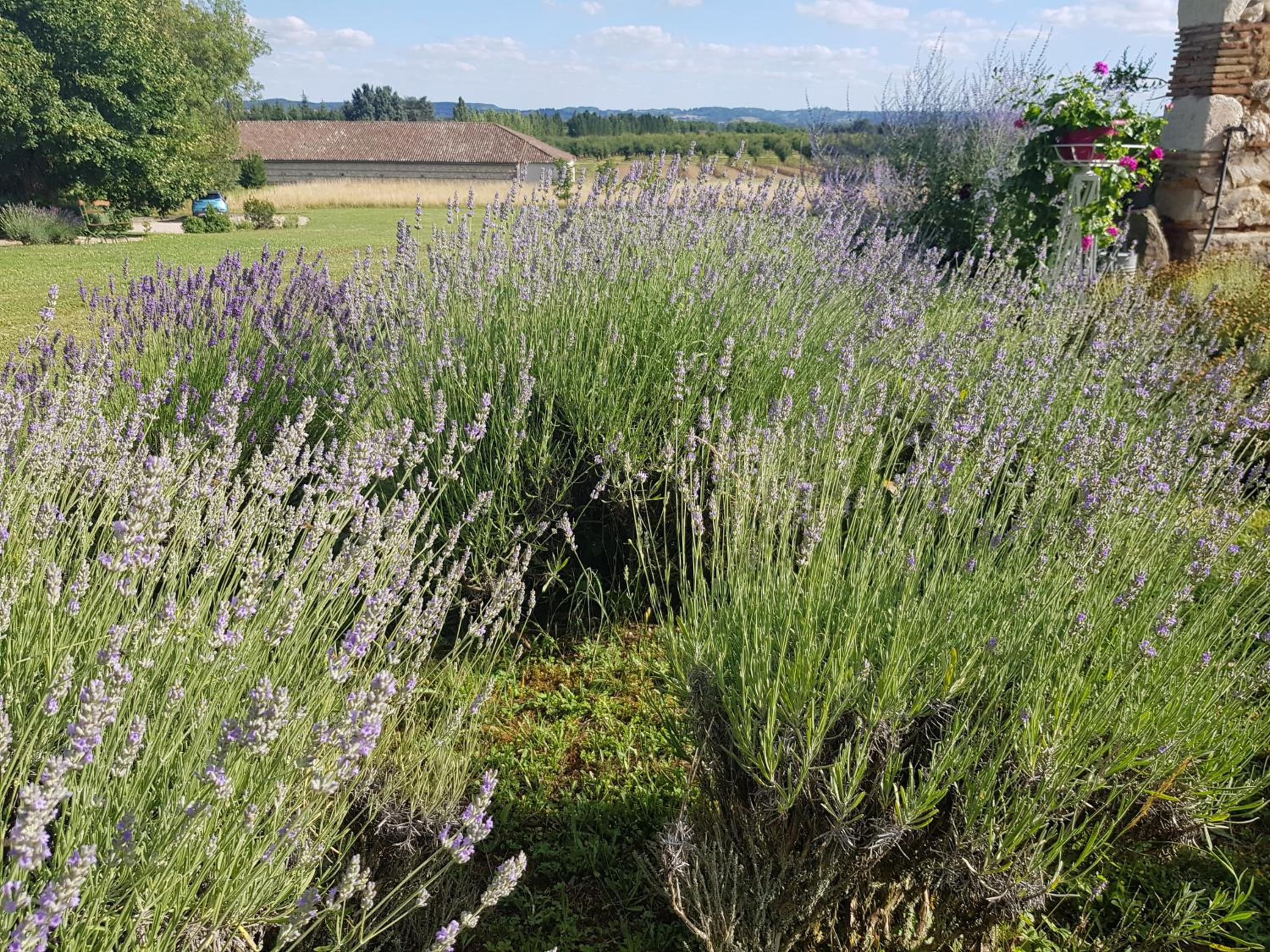Le clos du Mûrier