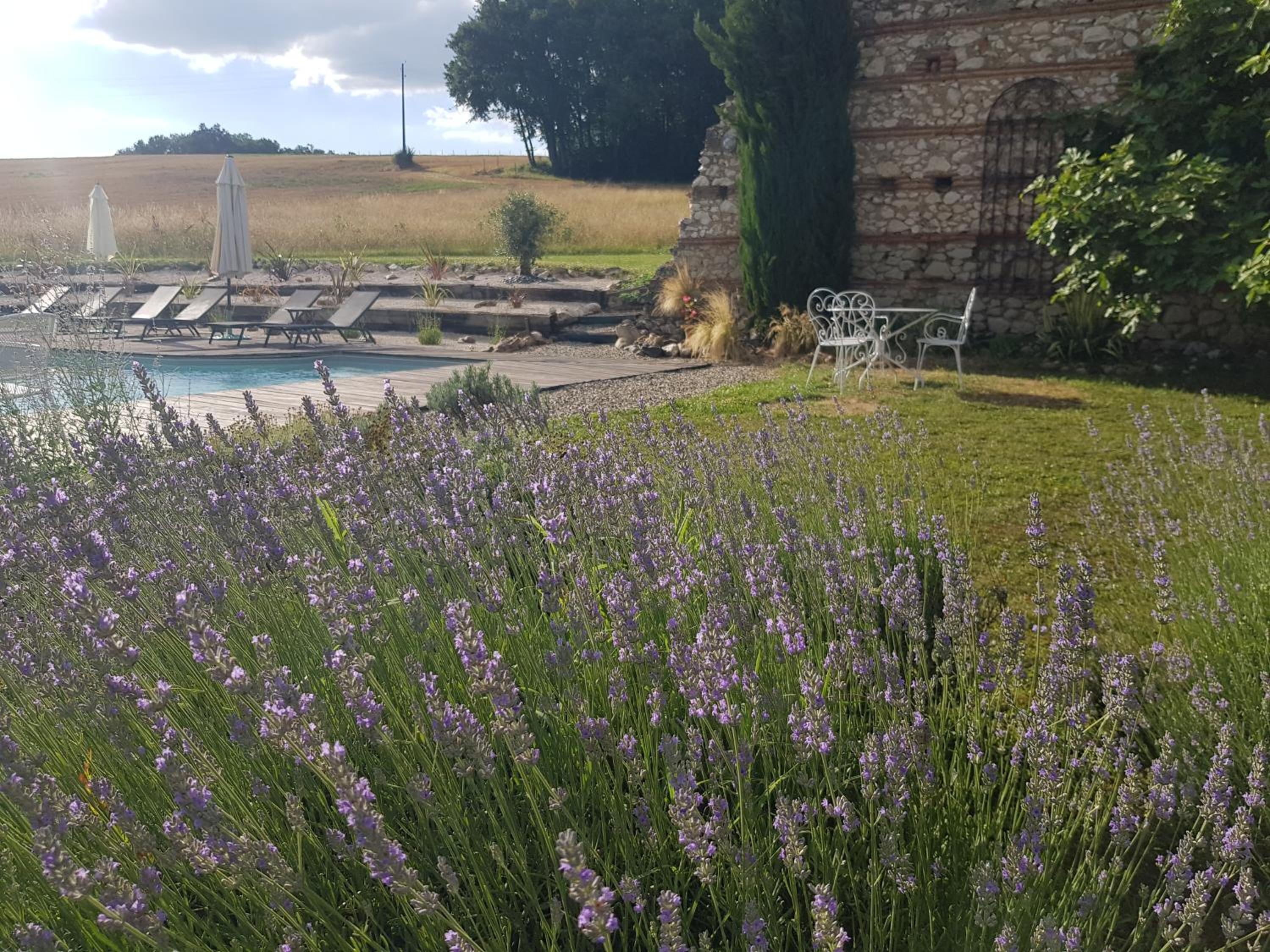 Le clos du Mûrier