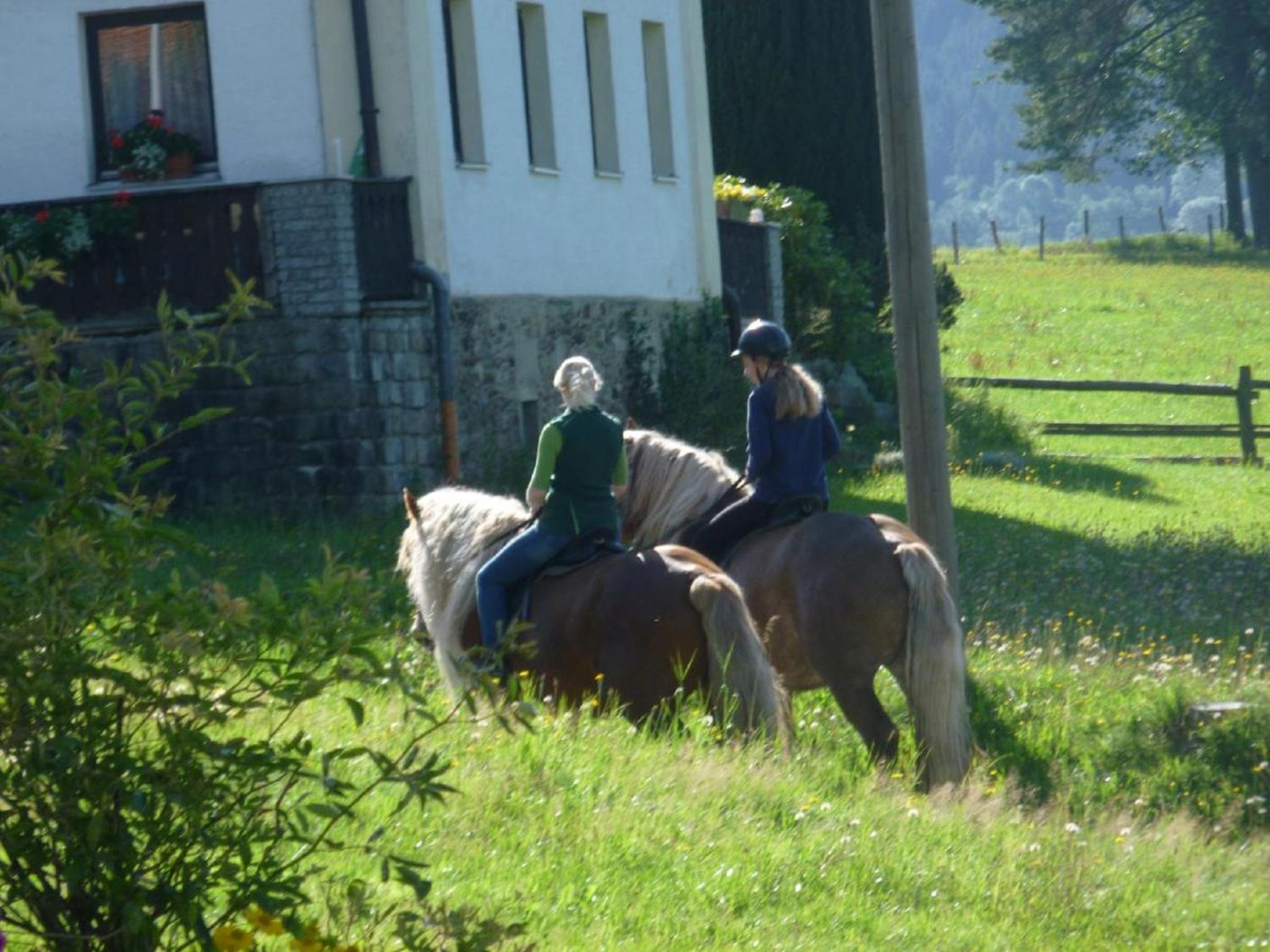 Urlaub auf dem Haberlhof