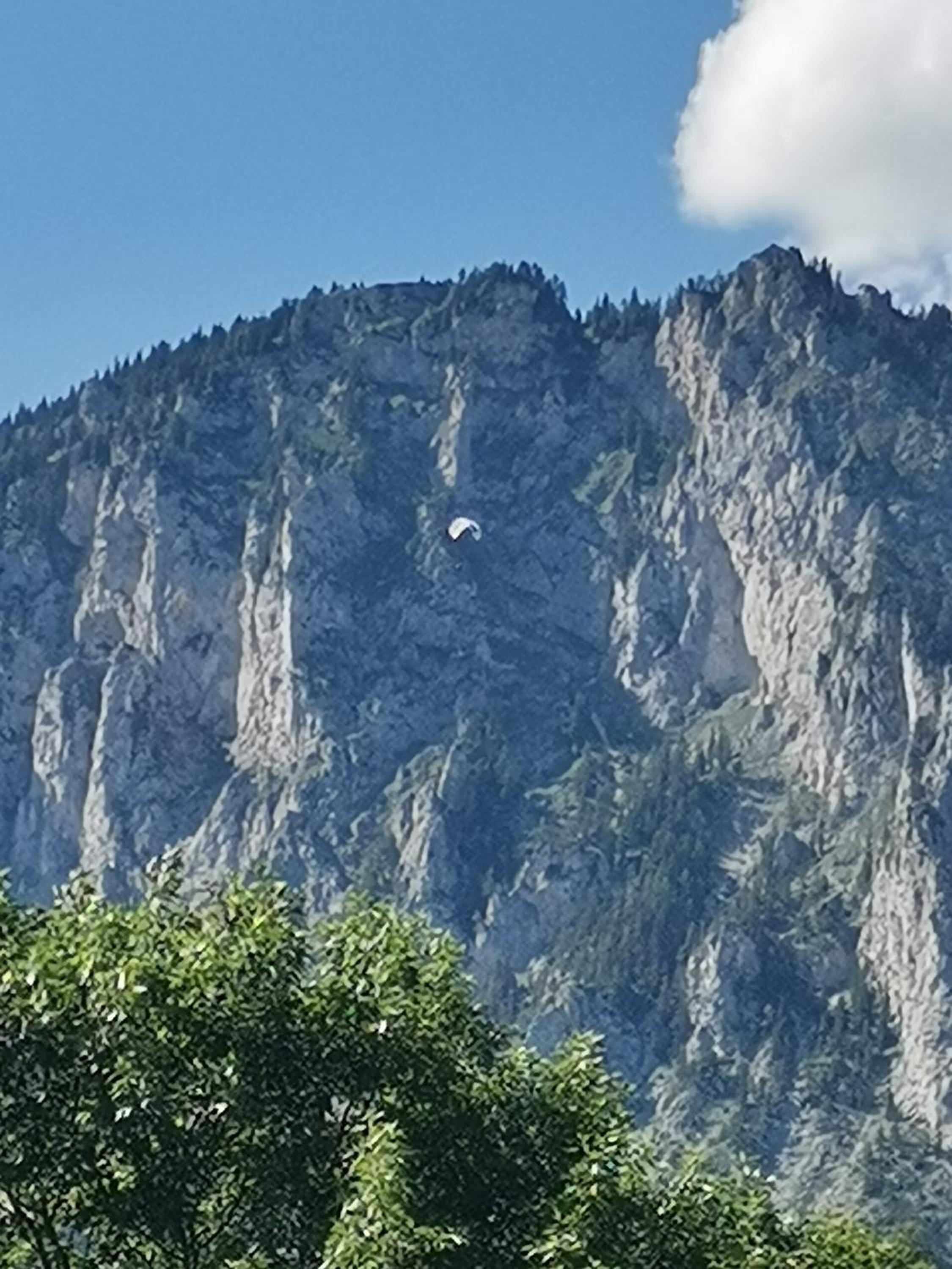 Haus Bergblick am Grünen See