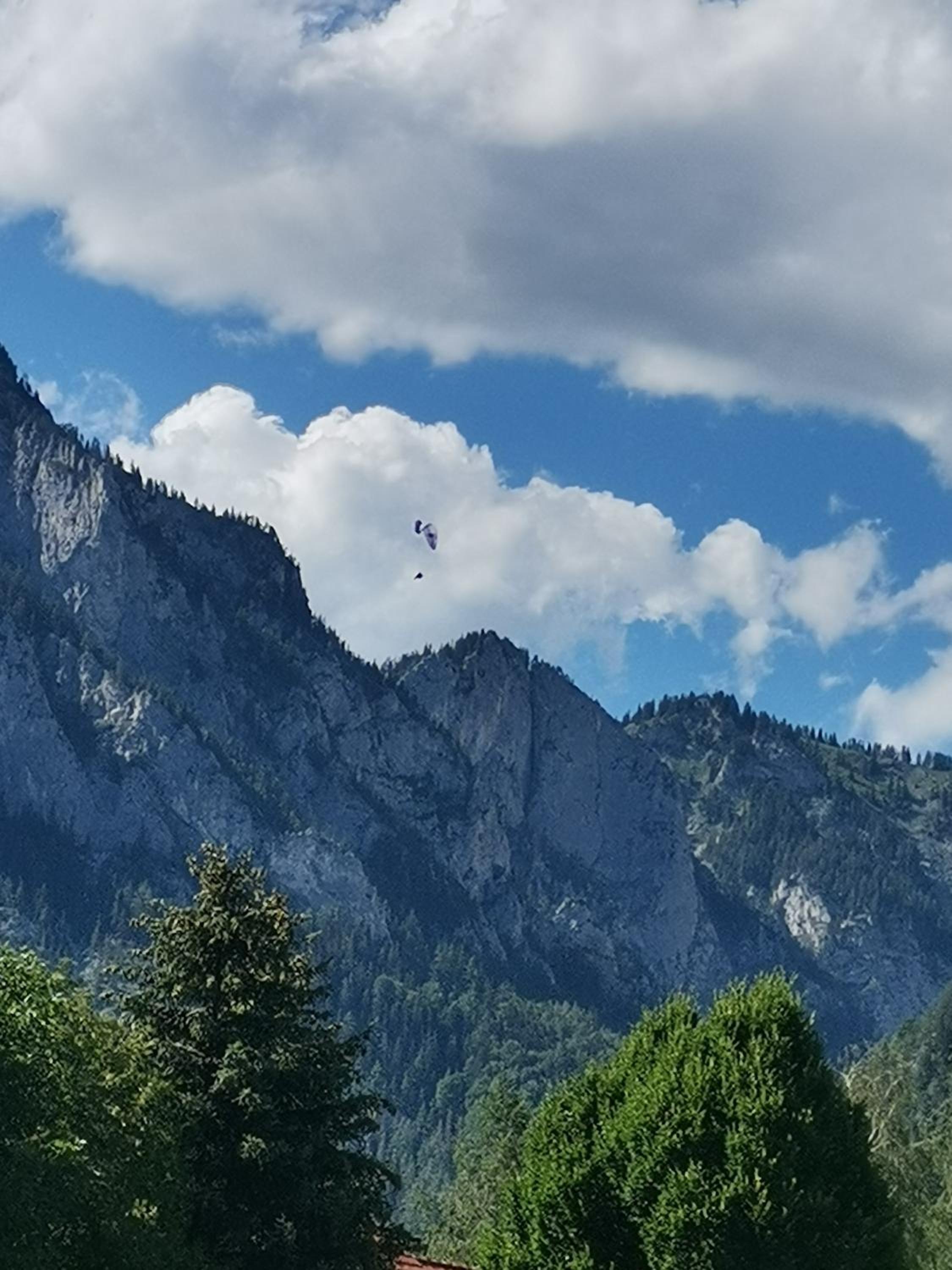 Haus Bergblick am Grünen See
