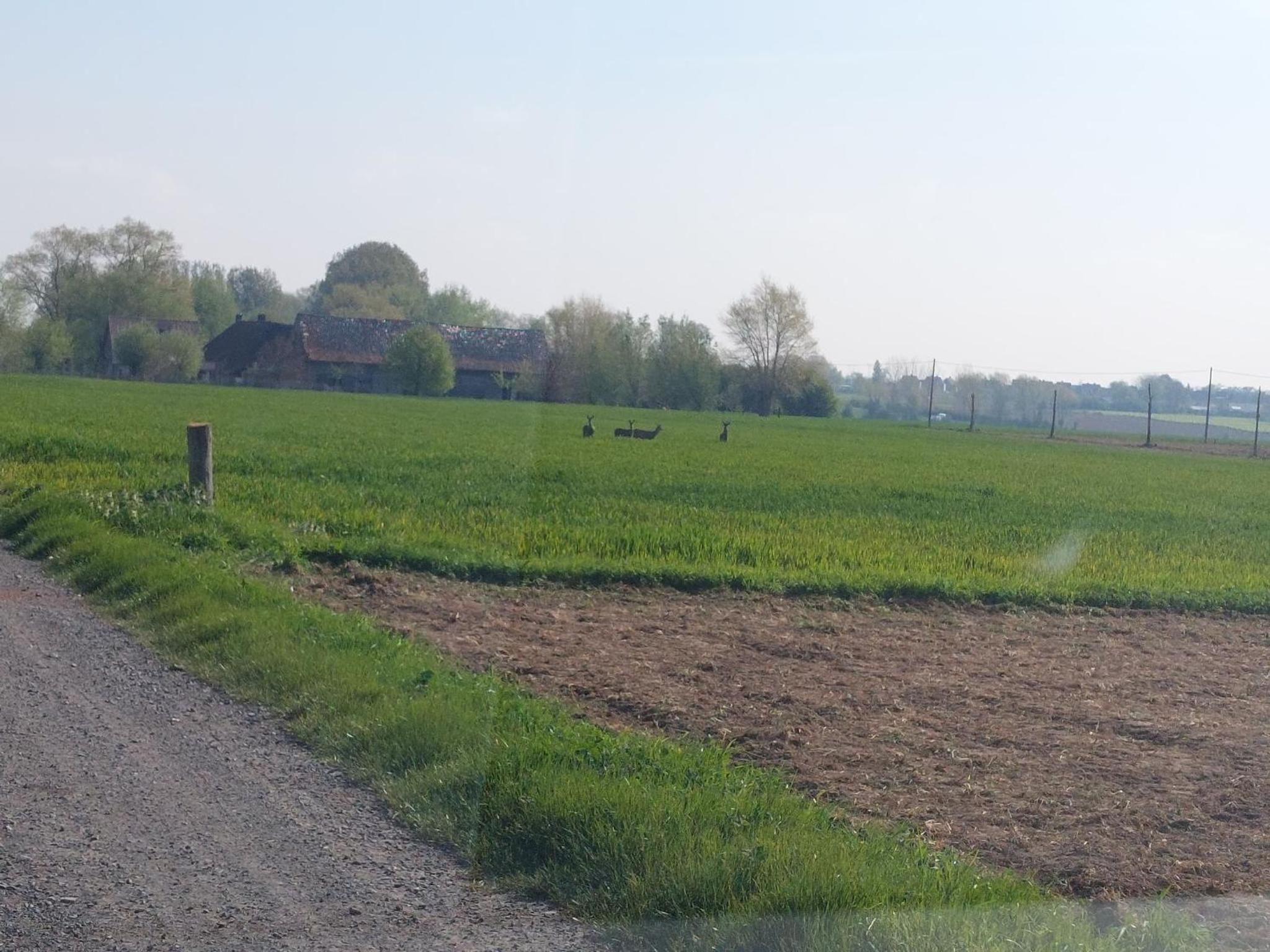 B&B Clogher Farm