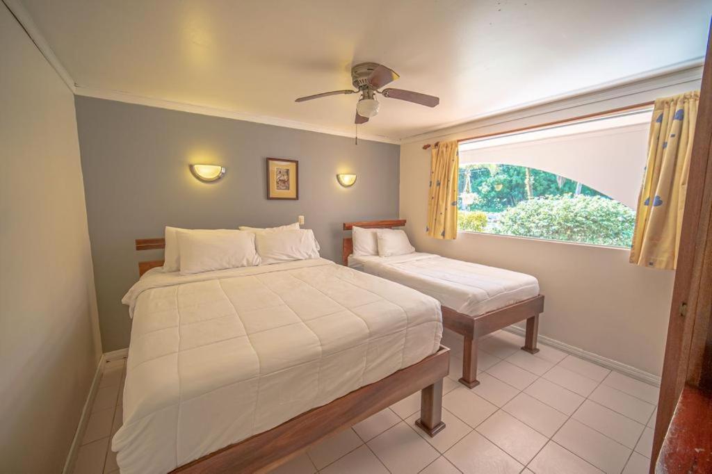 Lovely Condo near monkey habitat and beach view 4