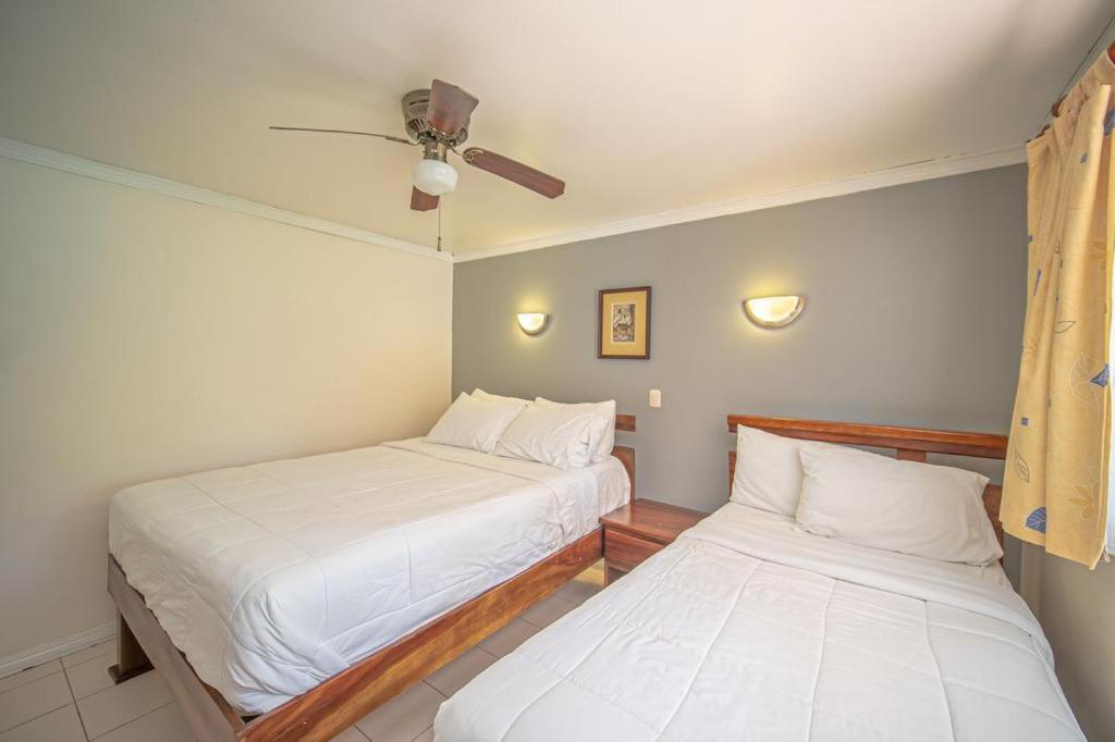 Lovely Condo near monkey habitat and beach view 3