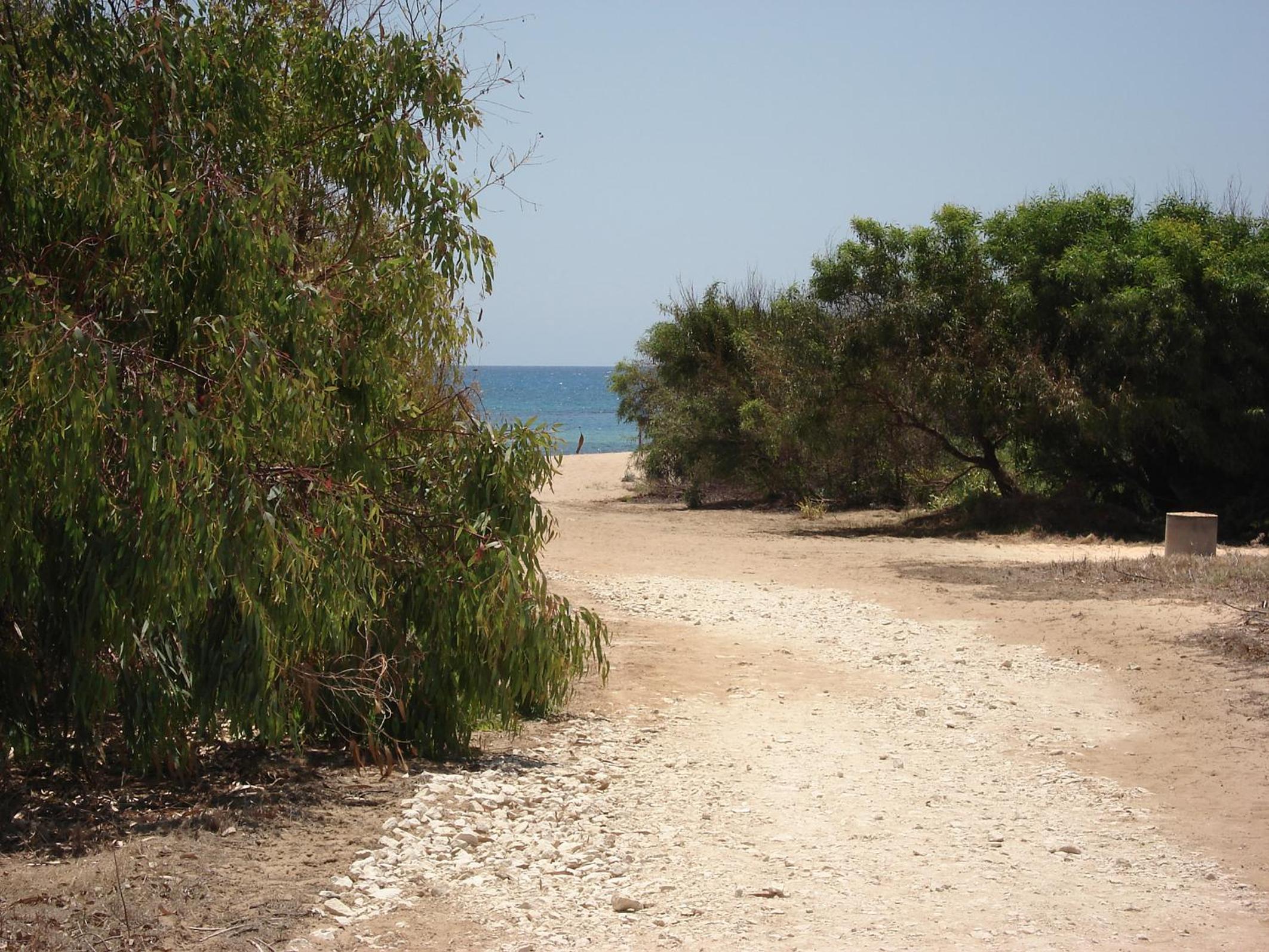 Photo 22