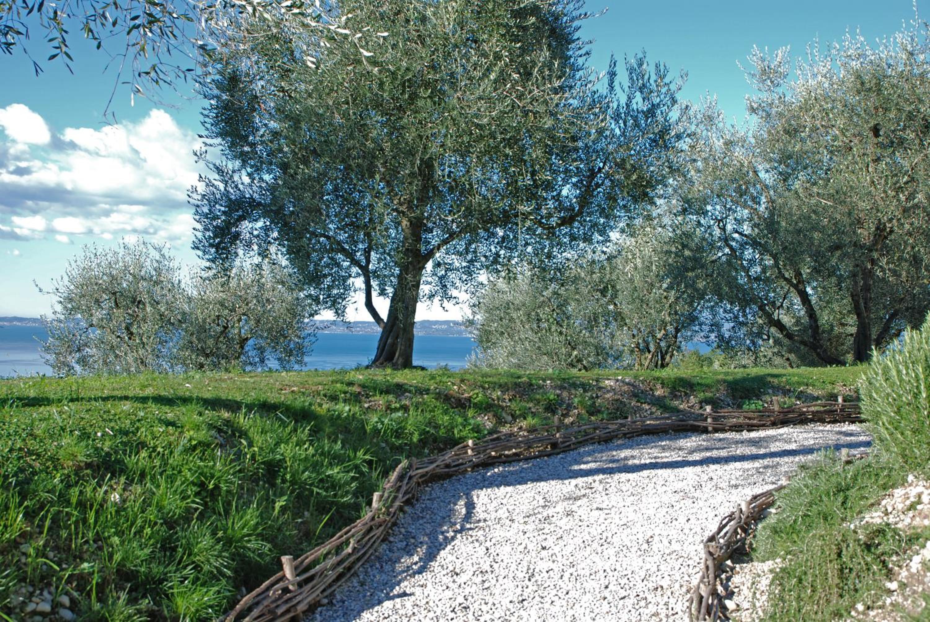 Prati Palai