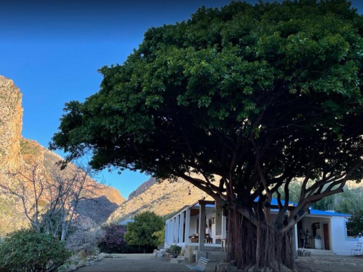 Weltevrede Fig Farm view 4