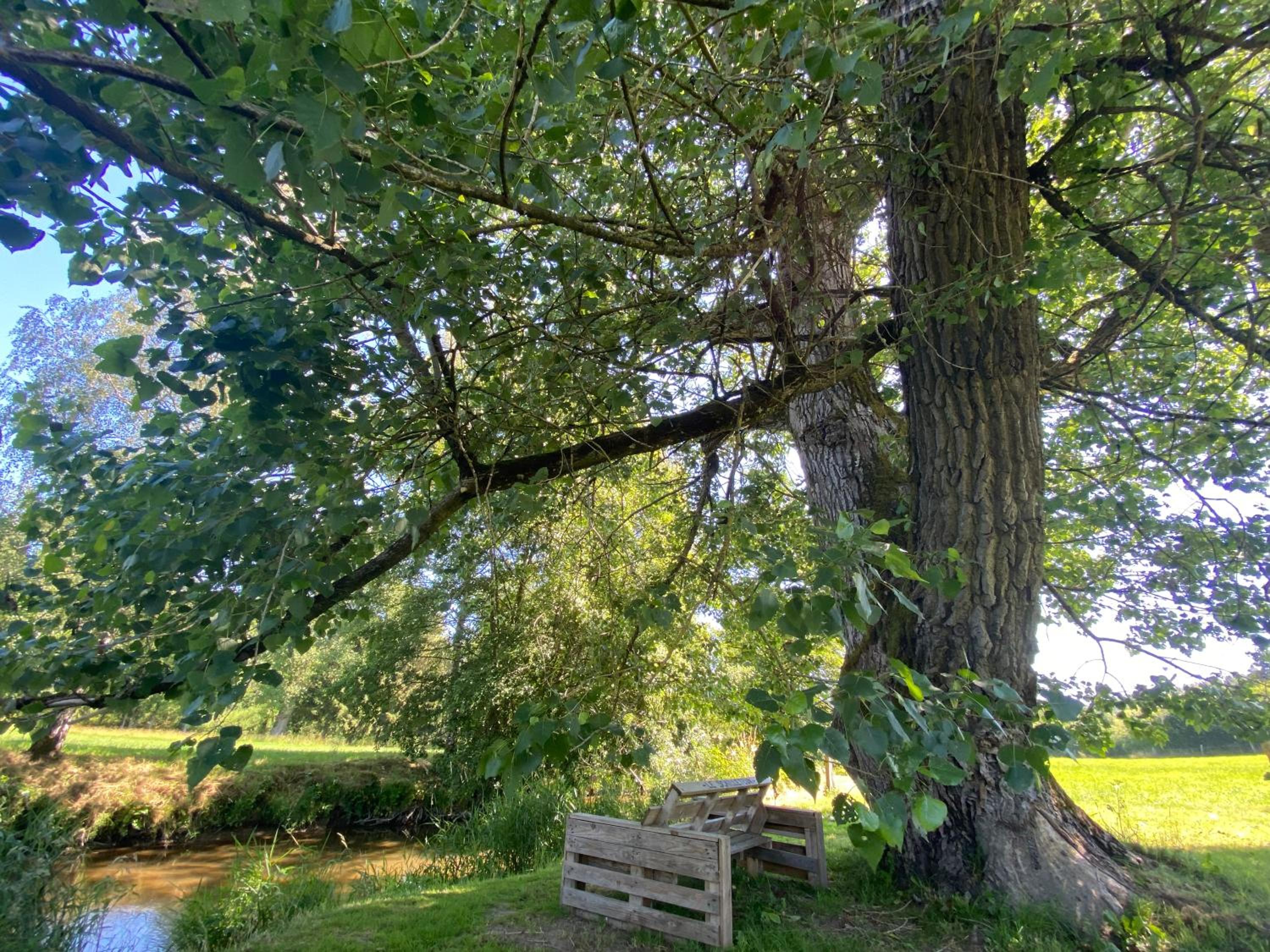 Le Héron - Gîte de charme clôturé, accès à la rivière - 6 ou 10 personnes