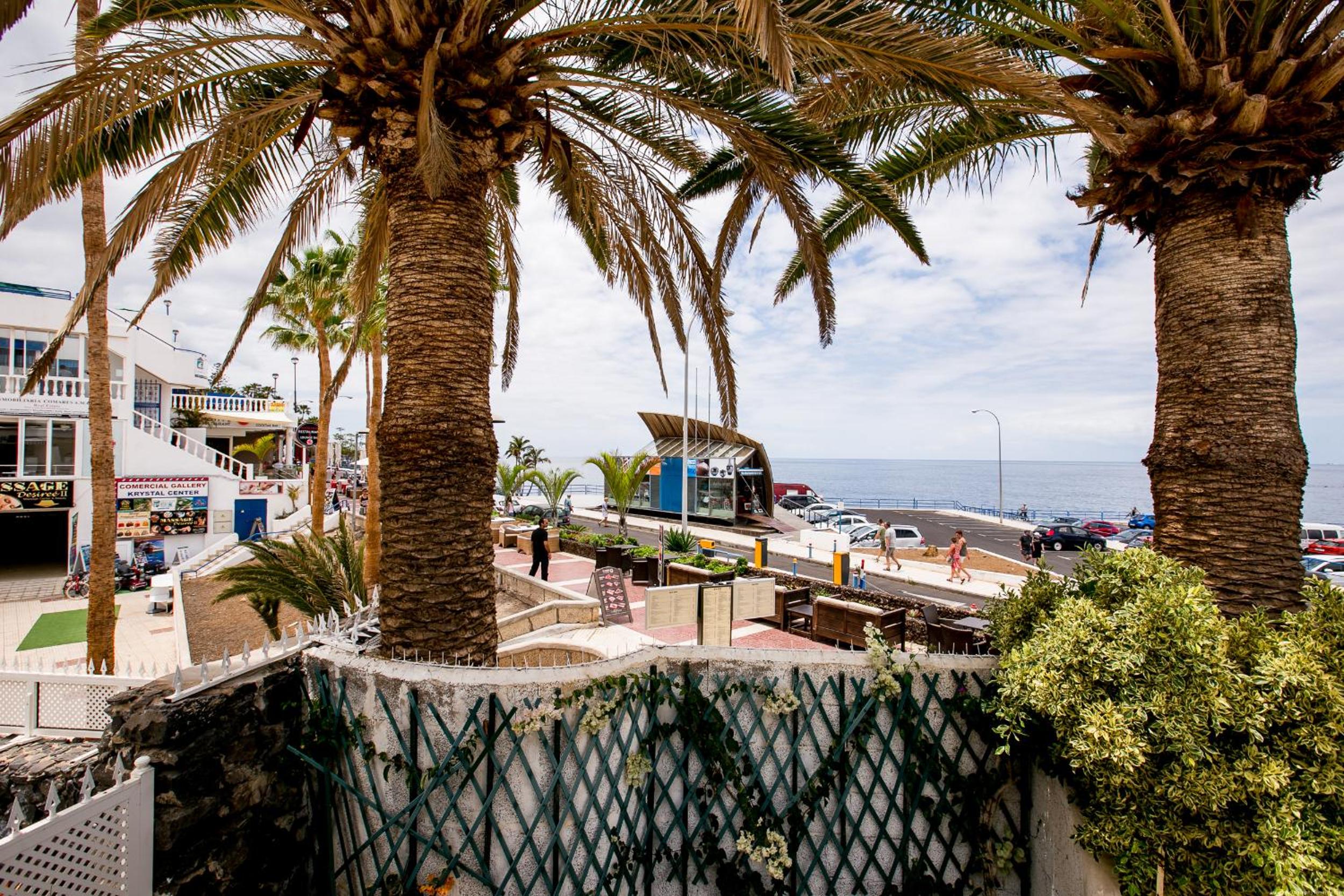 Sea Front Costa Adeje Bungalow view 4