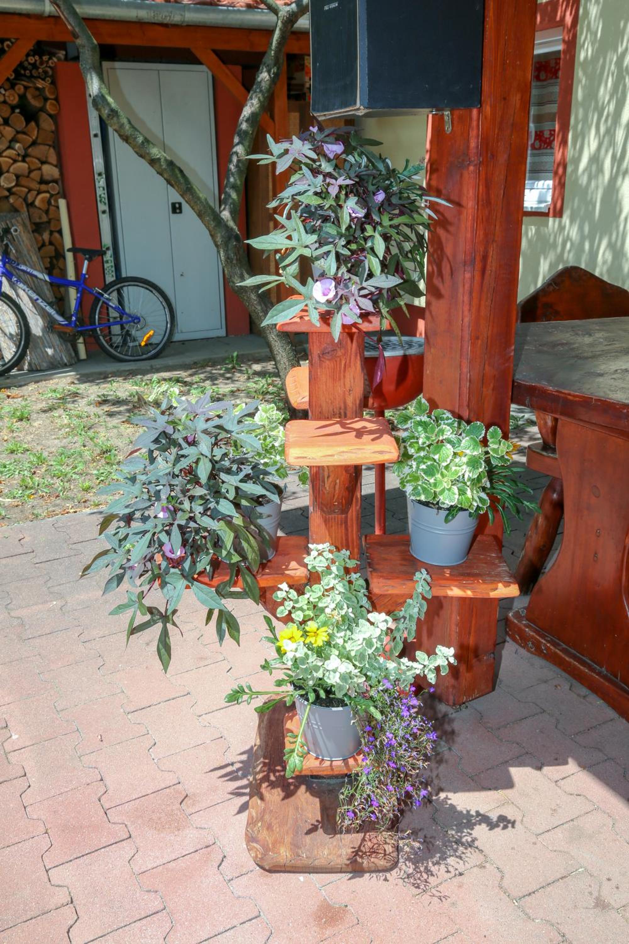 Photo 40
