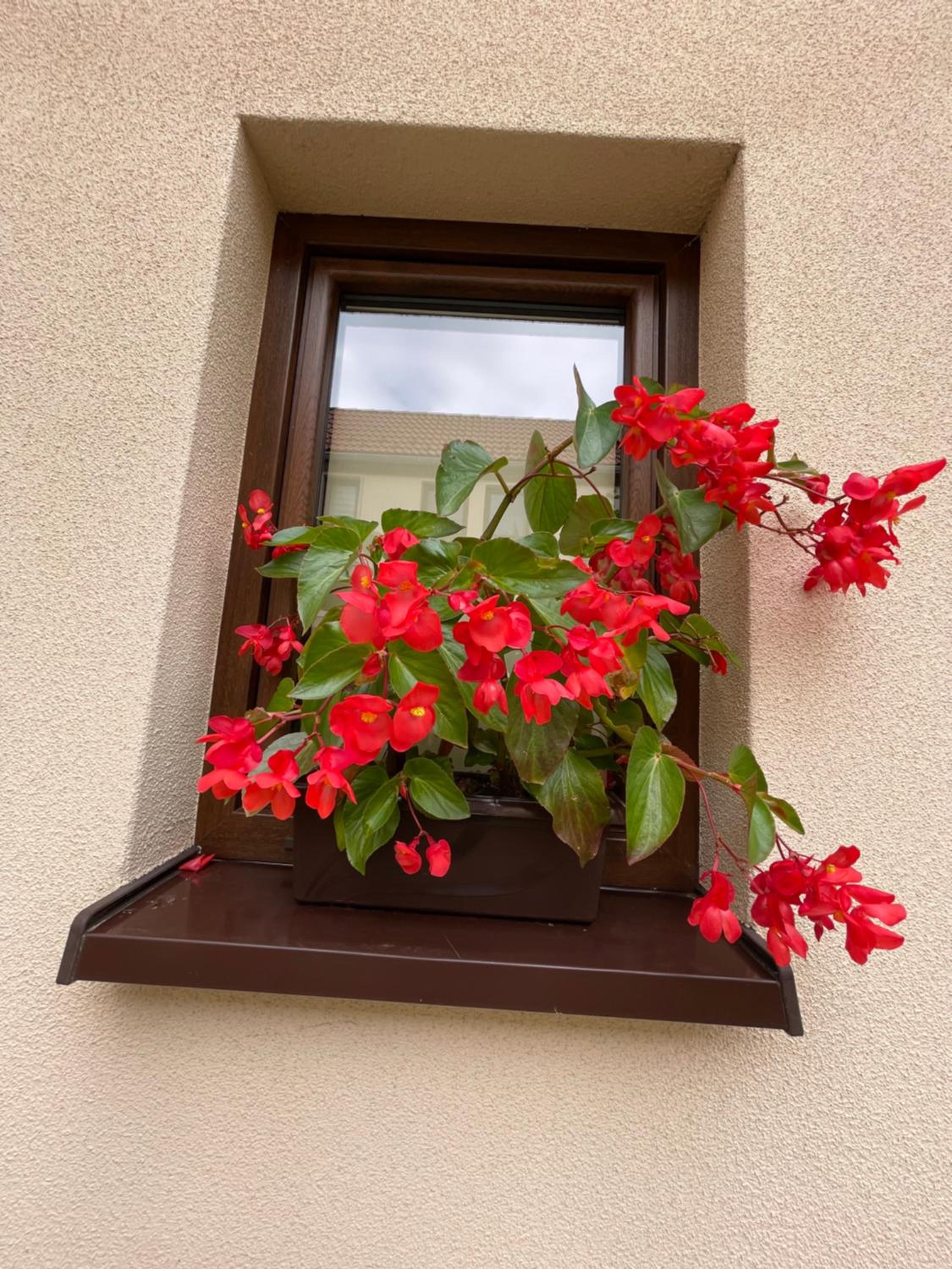 Słoneczne Apartamenty Polanica-Zdrój view 5