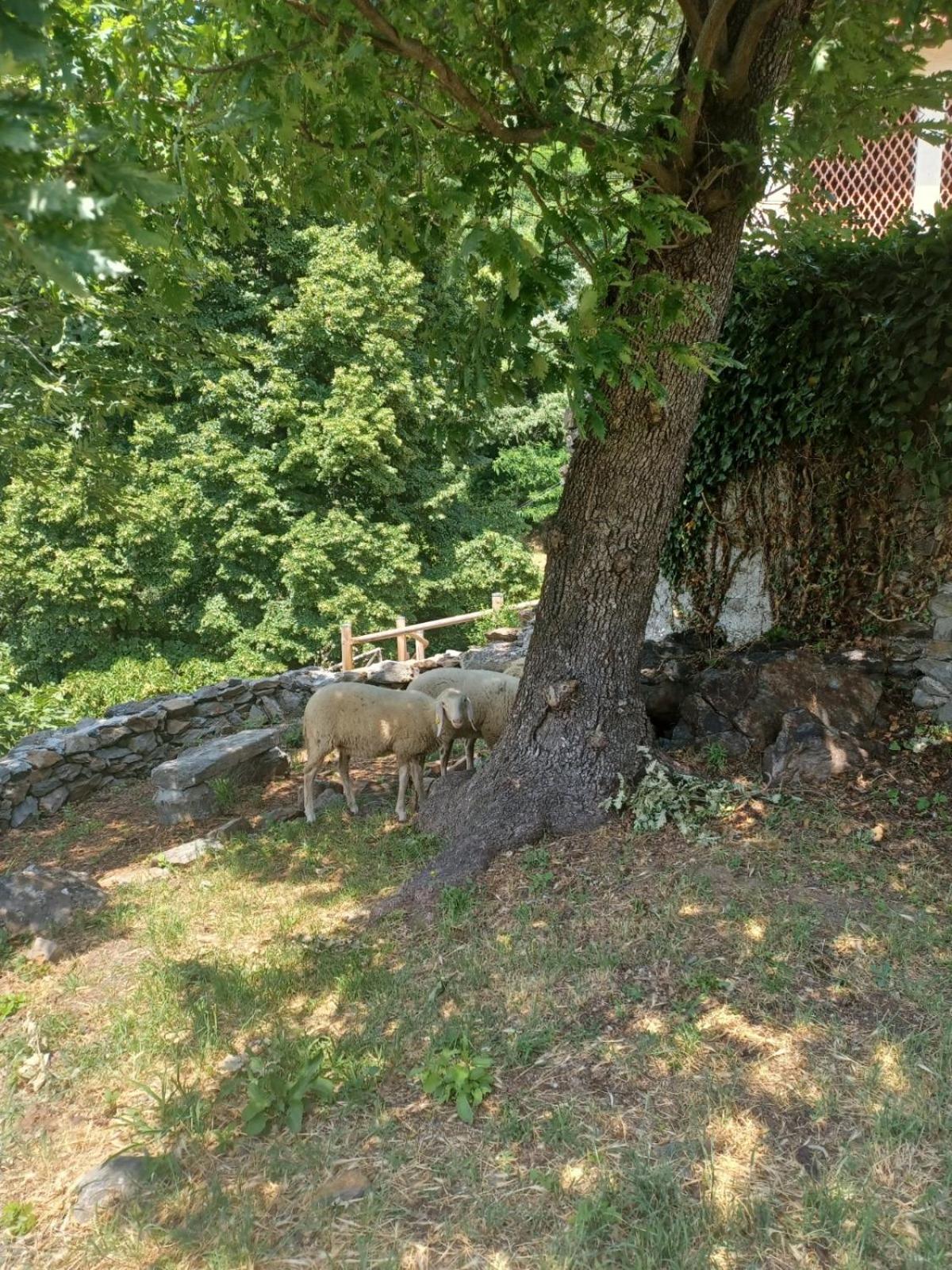 Open Cascina view 2