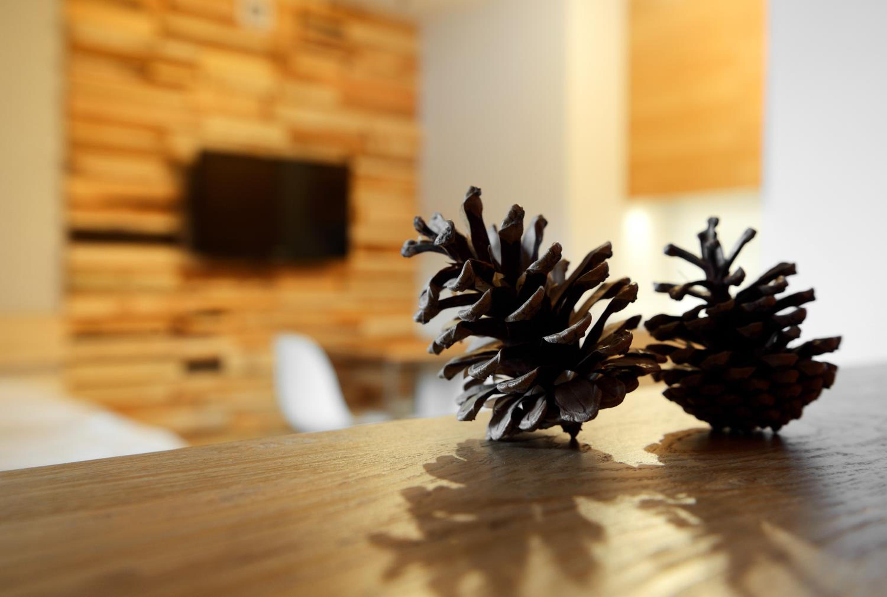 Alpini Apartamenty view 5