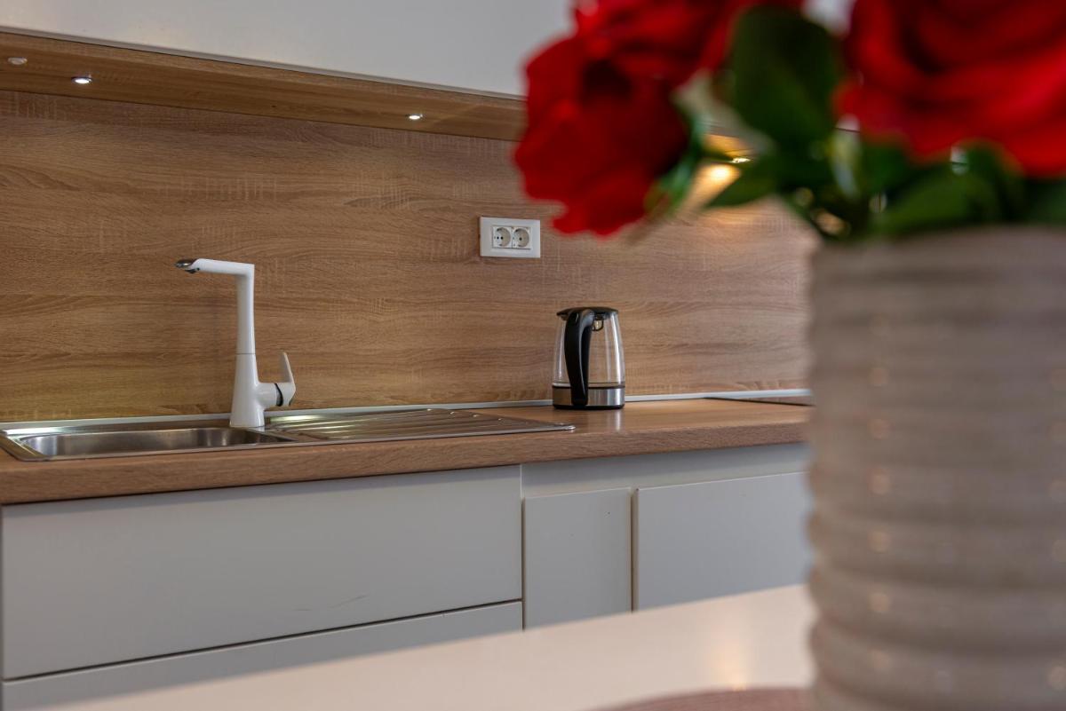 Modern studio apartment Lučić view 4