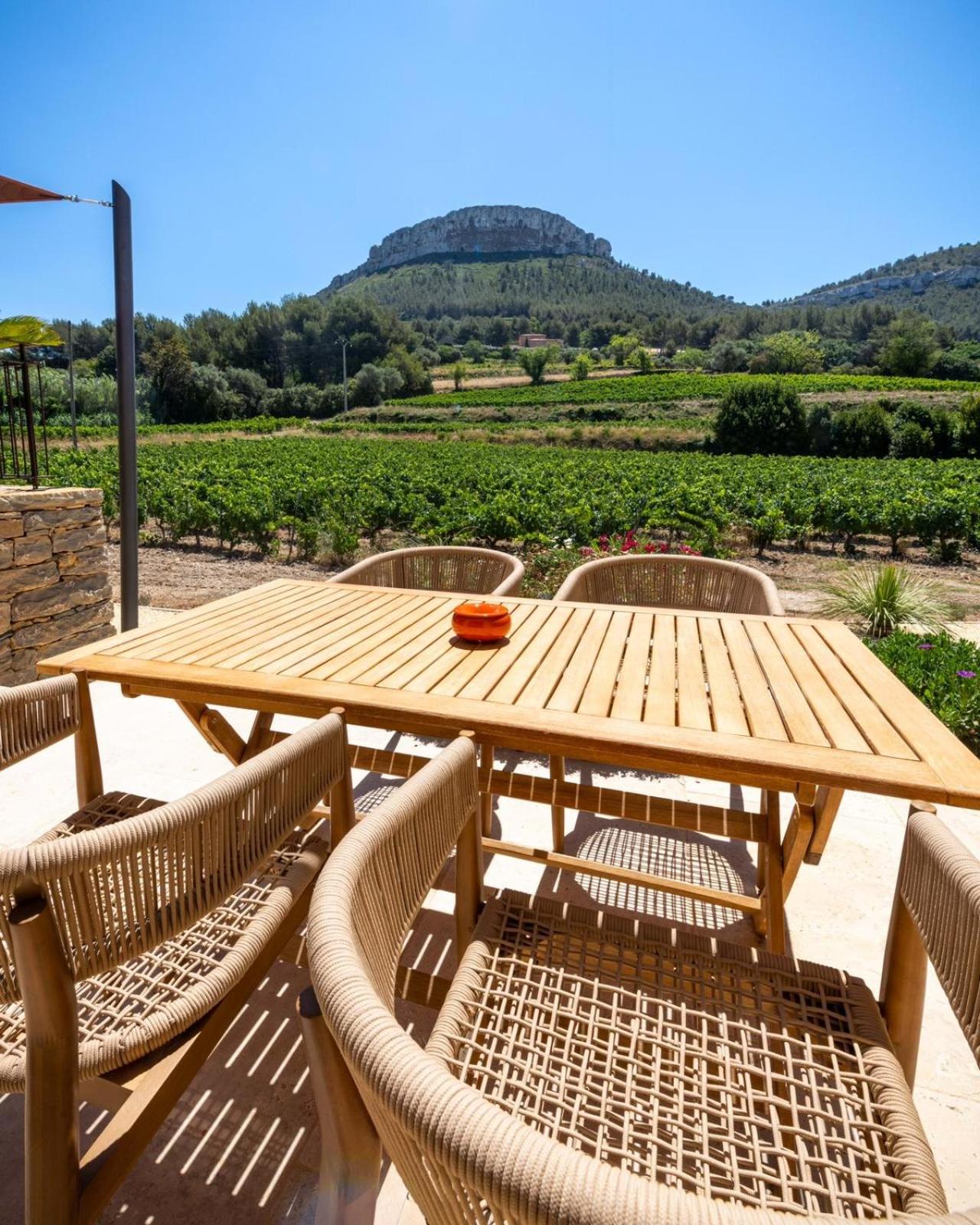 Côté vignes cassis, photo 25