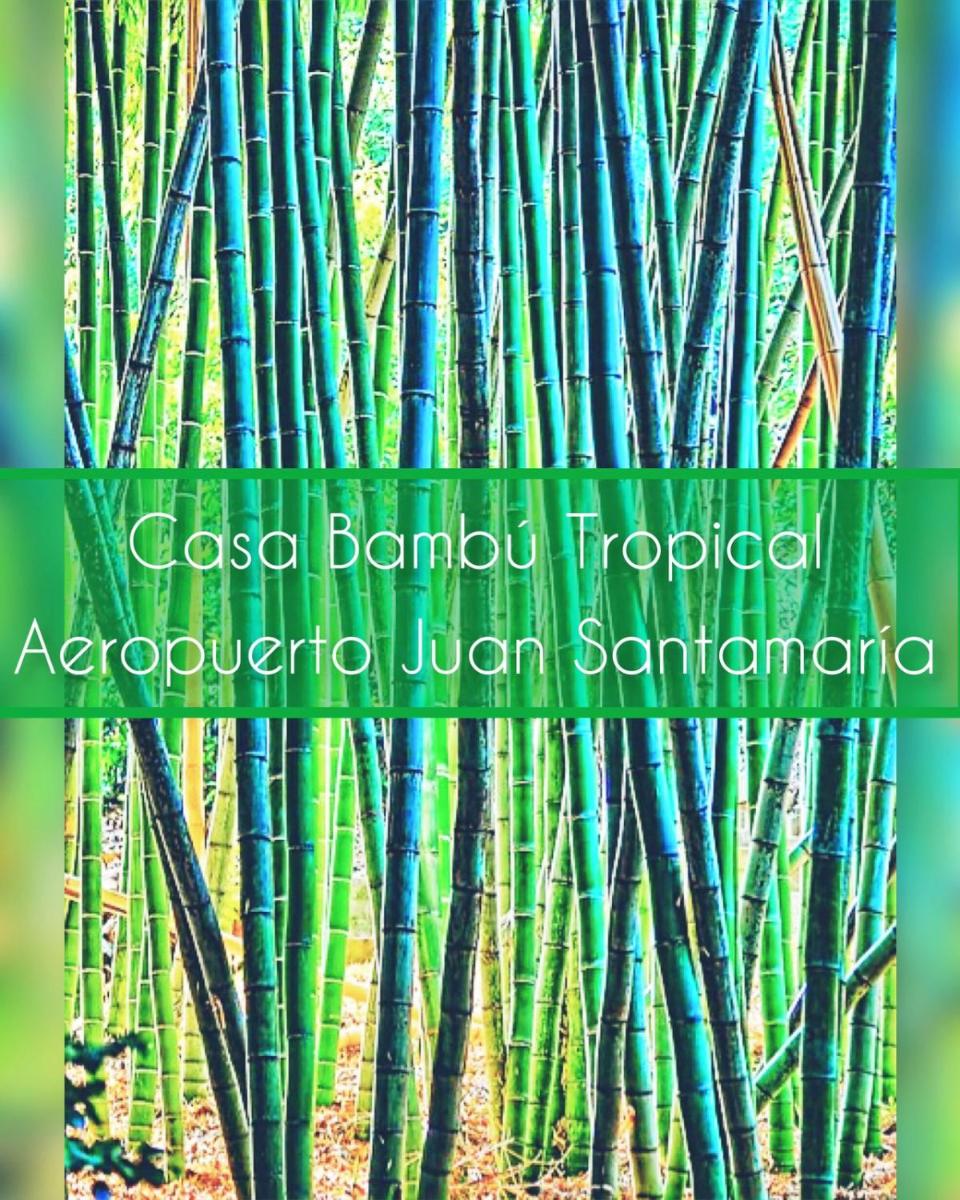 Hotel Casa Bambú Tropical - Image 1