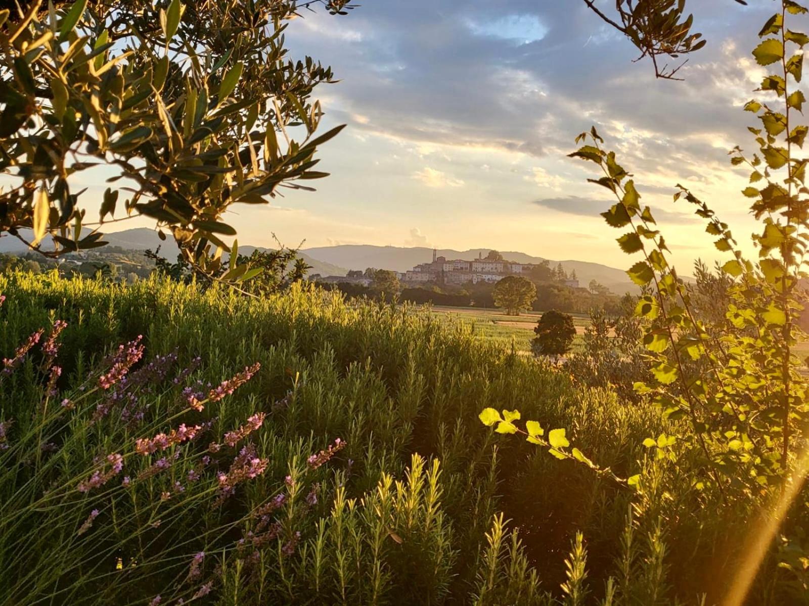 Luxury 1-bedroom house with the pool in Tuscany. view 5