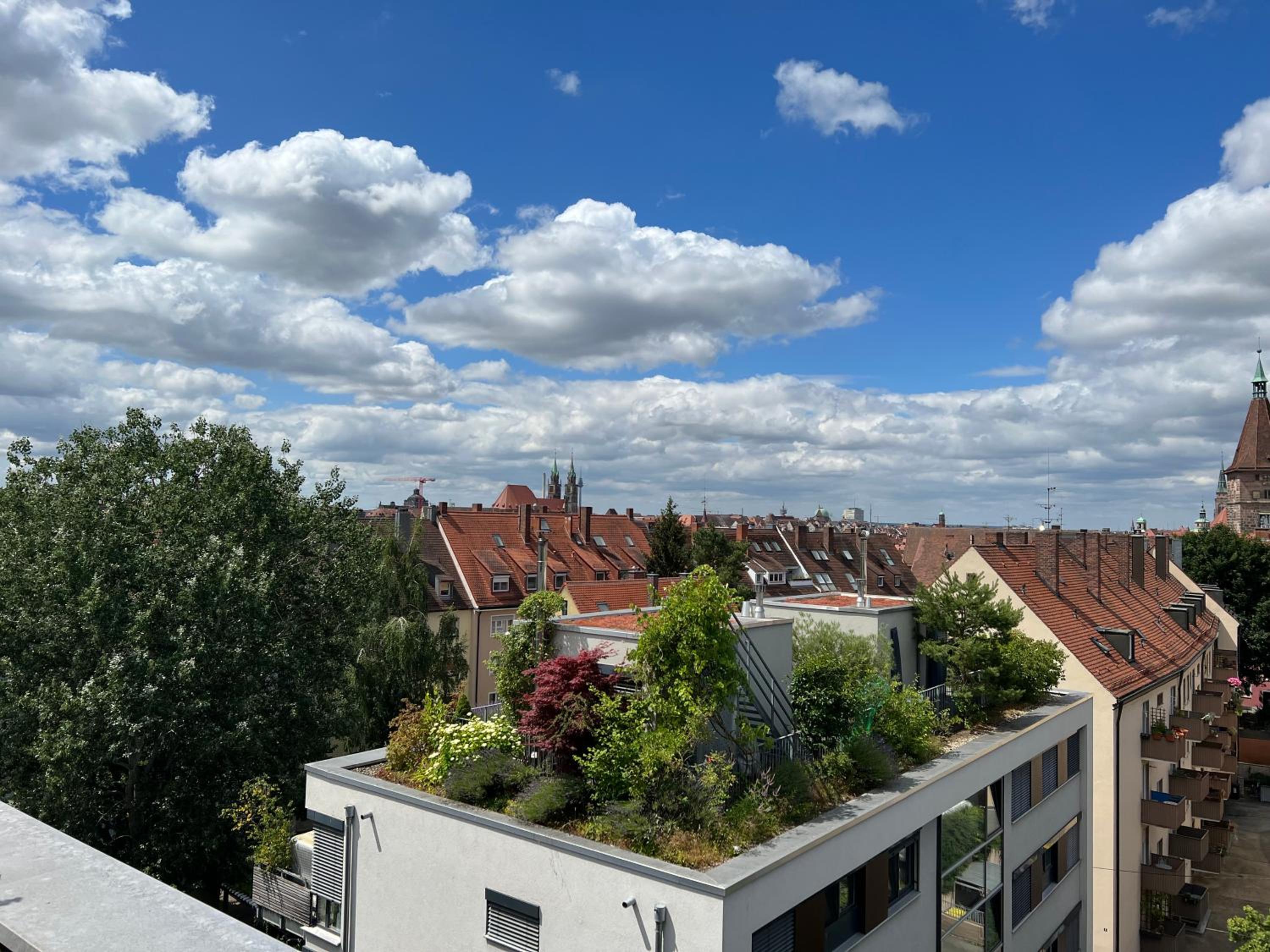 roof