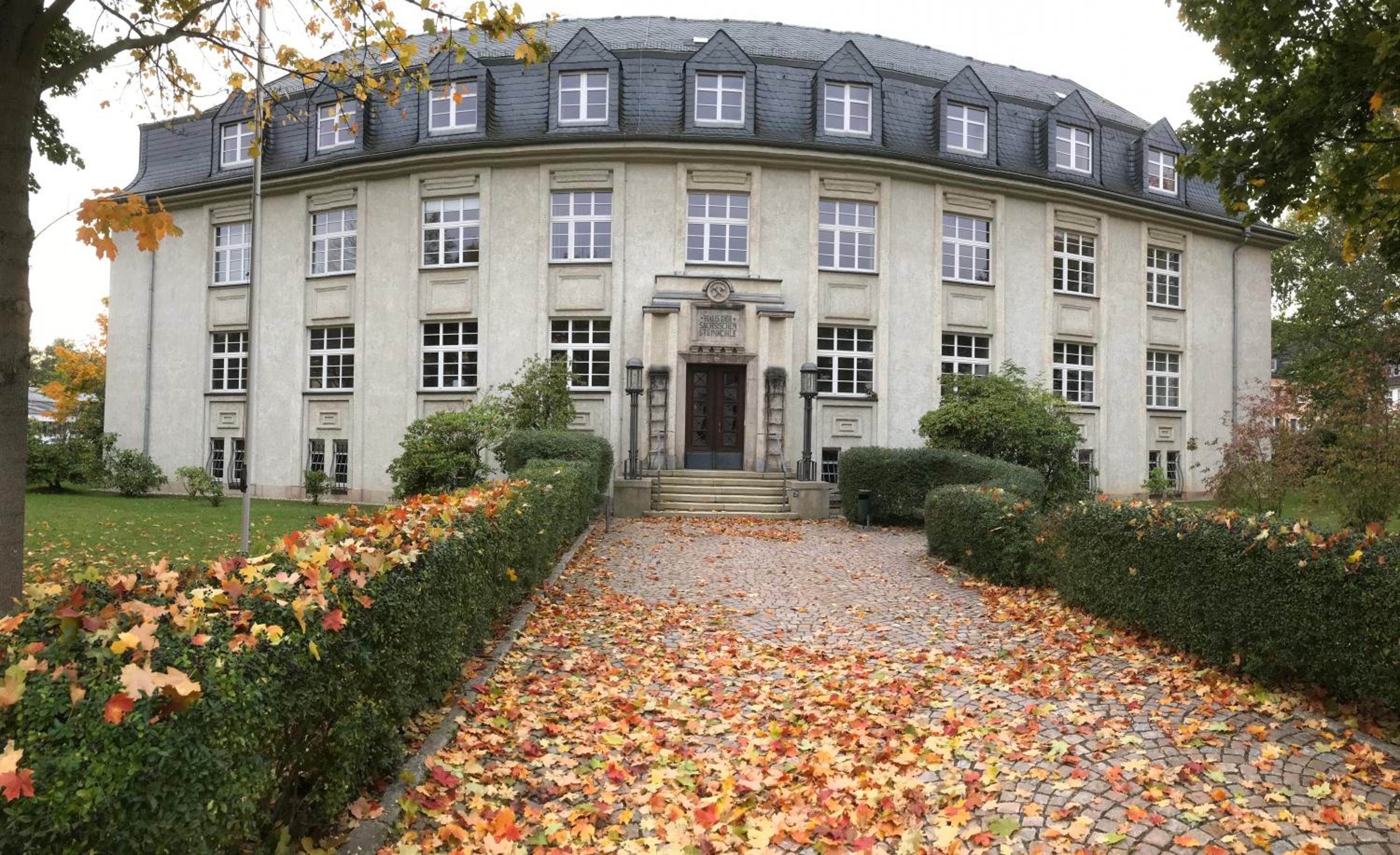 "Gluck auf" Lichtdurchflutete schicke Ferienwohnung in Zwickau - Property Image 41