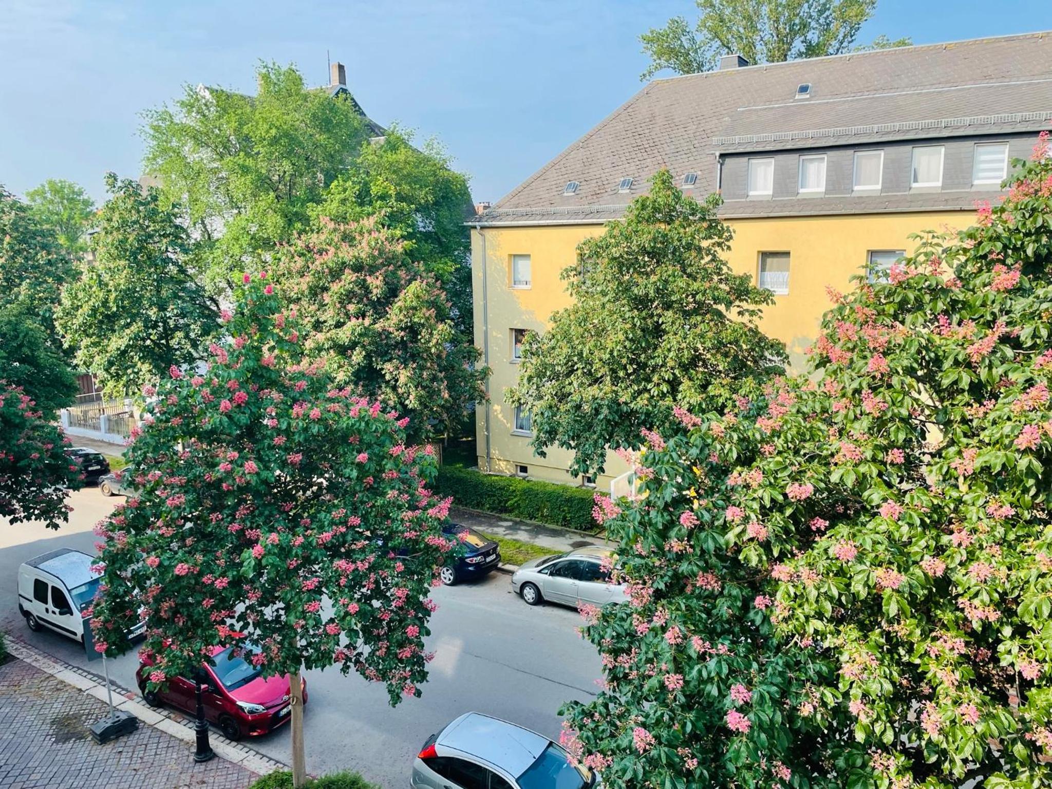 "Gluck auf" Lichtdurchflutete schicke Ferienwohnung in Zwickau - Property Image 34
