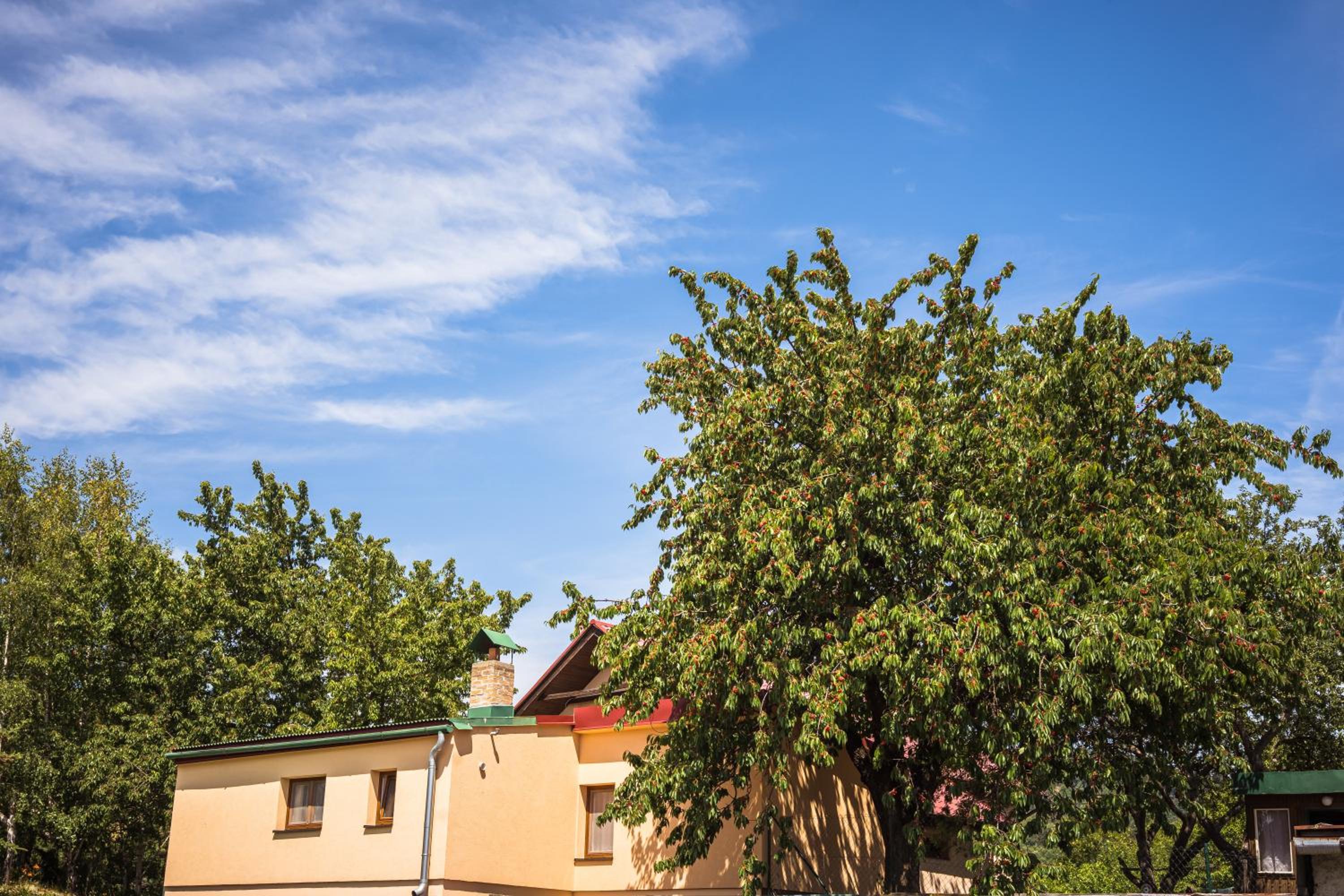 Apartmán pod čerešňou