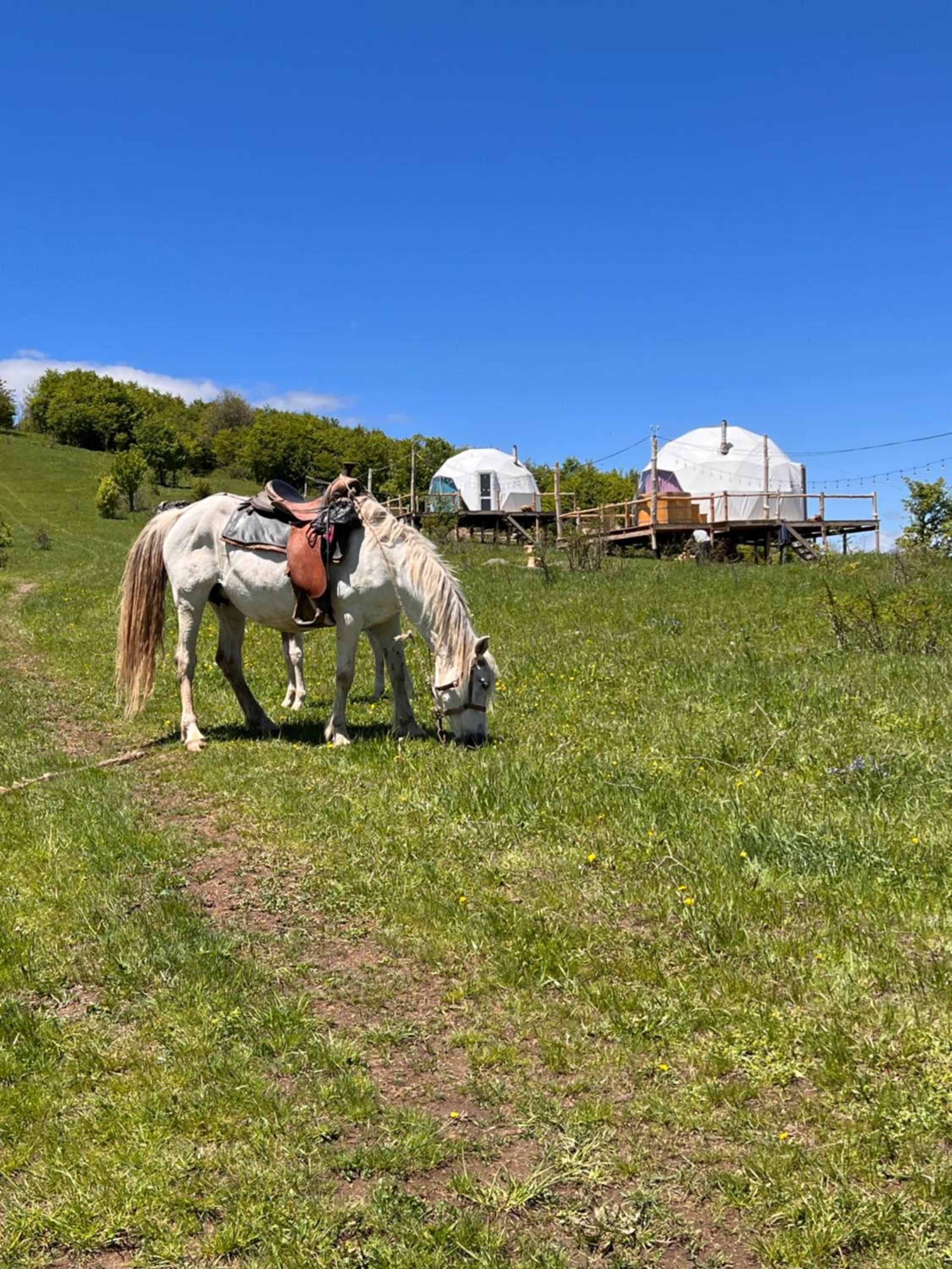 Glamping Park