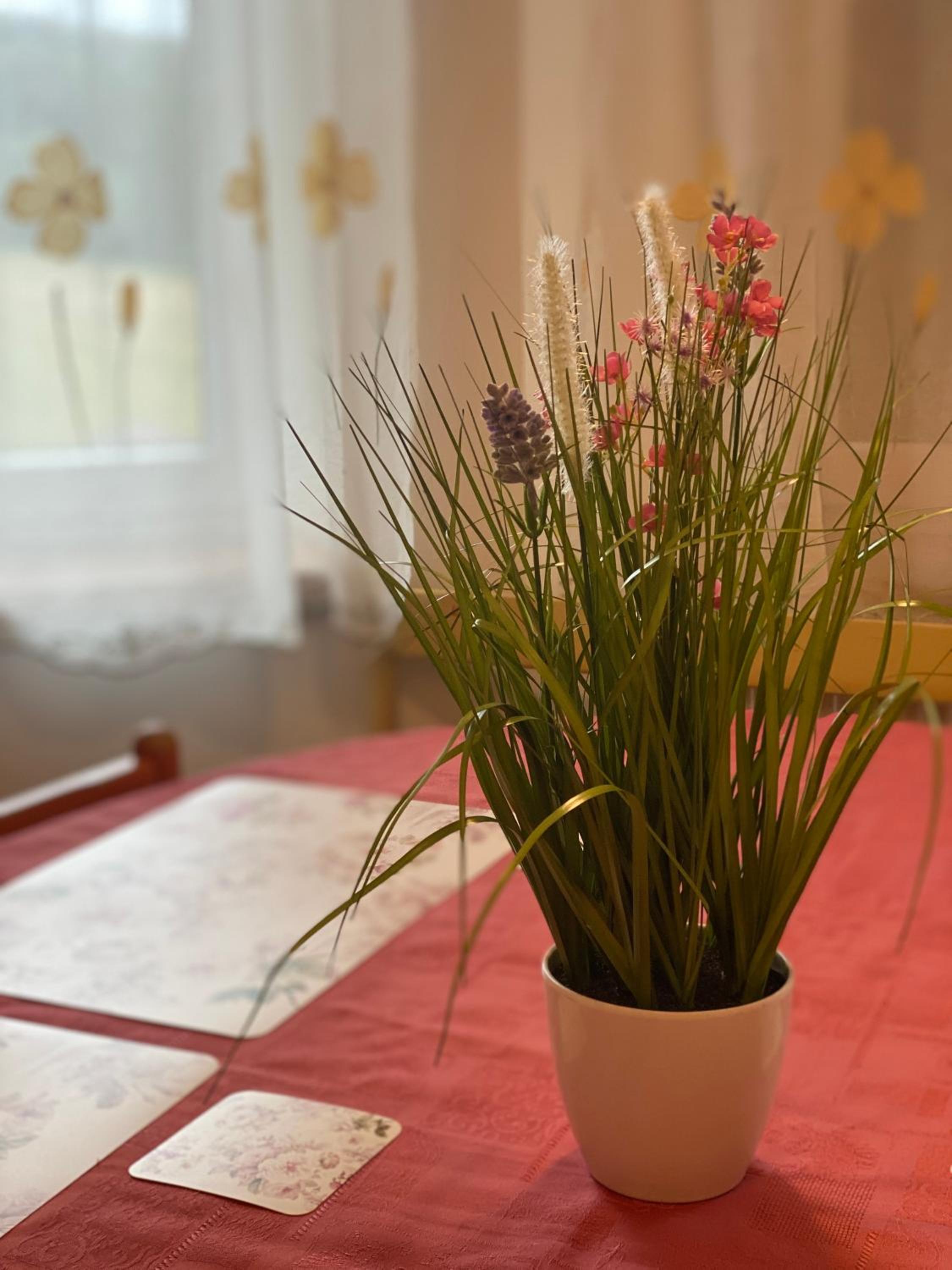Alba Apartmany Železná Ruda