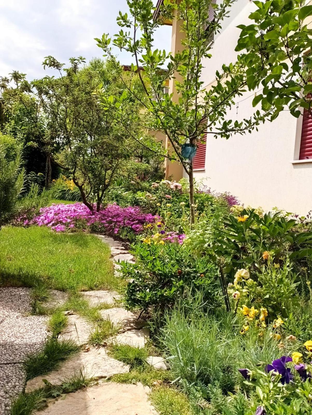 Photo 14