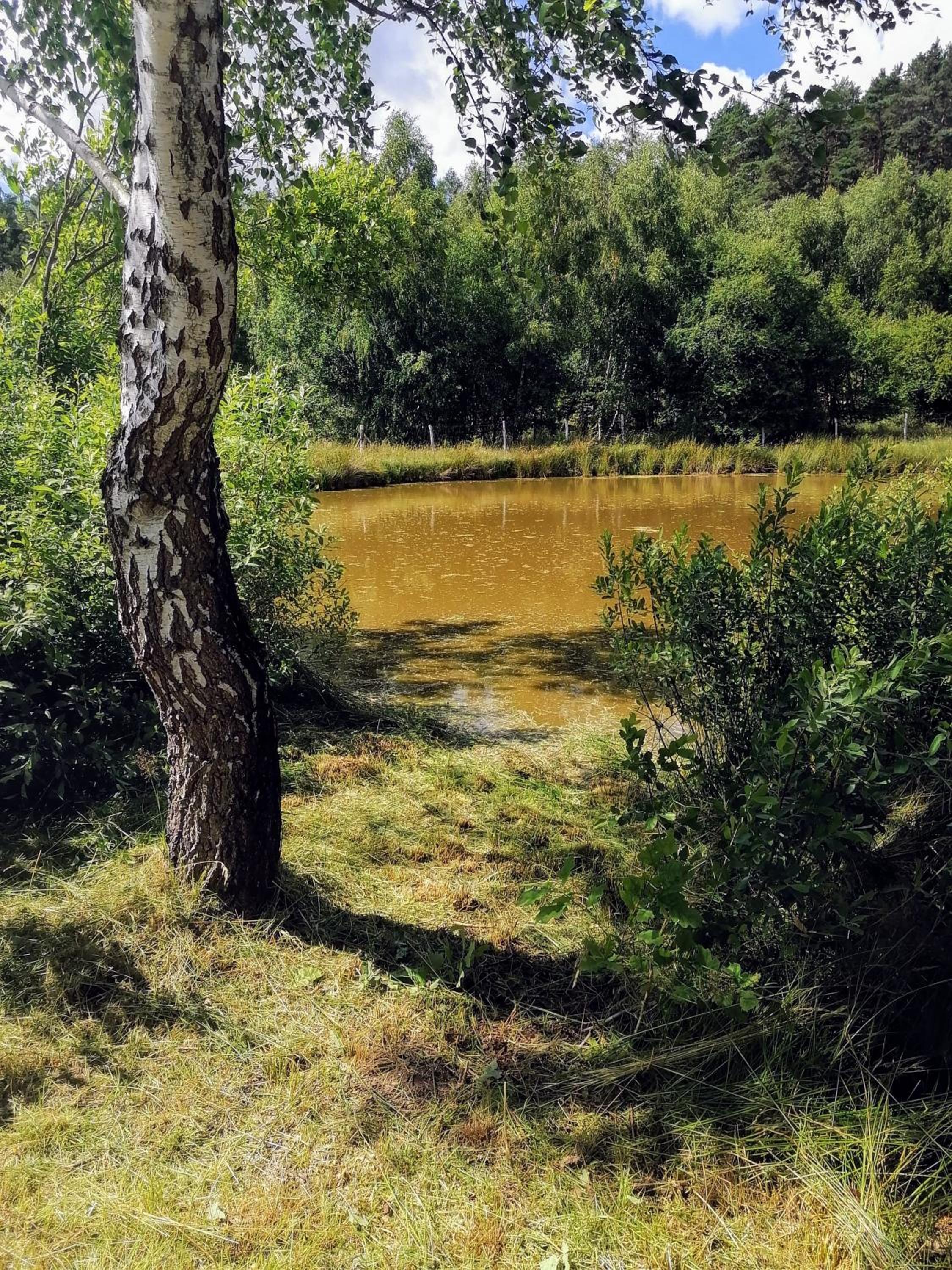 Photo 34