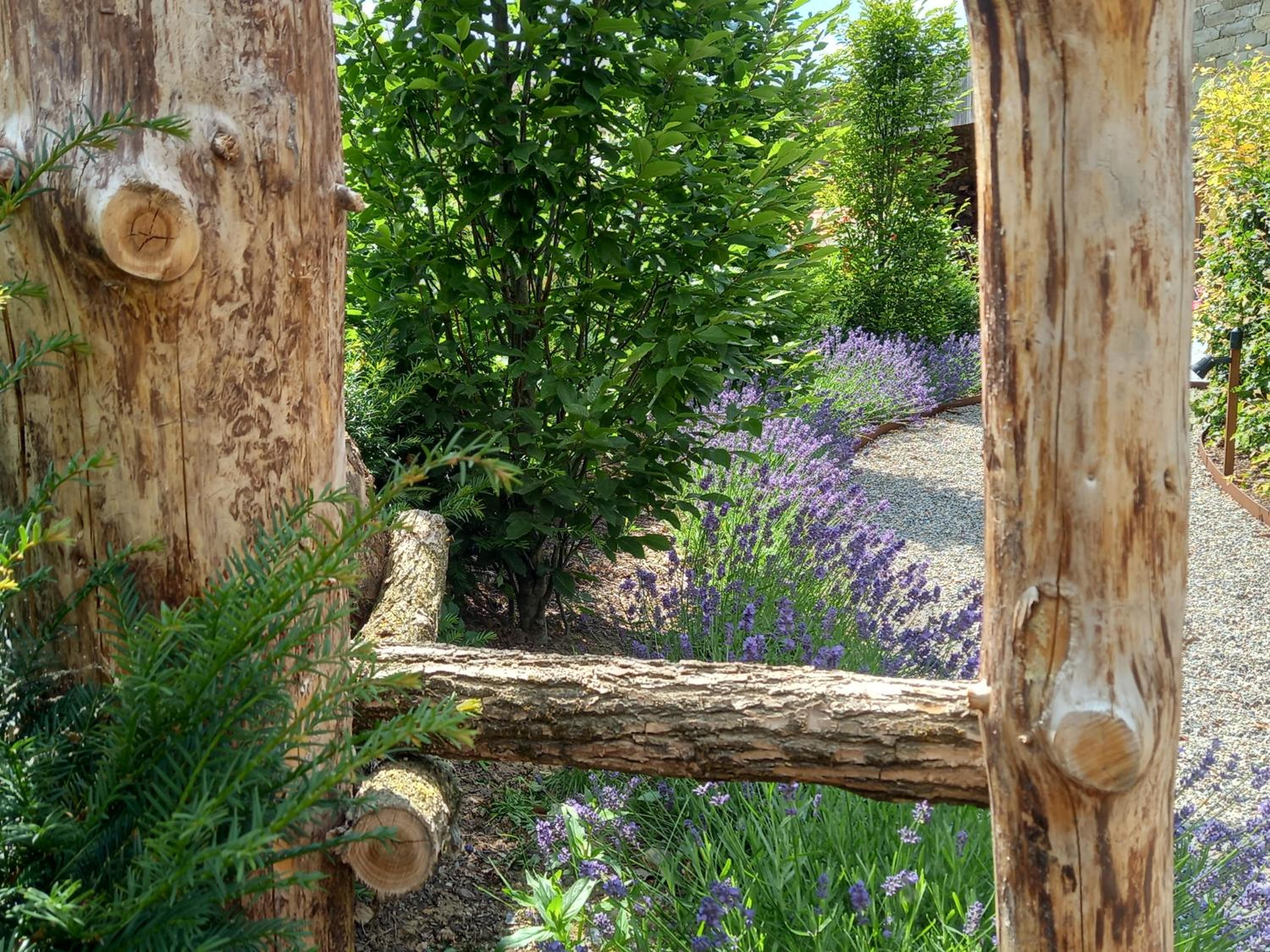 Le jardin des fagnes